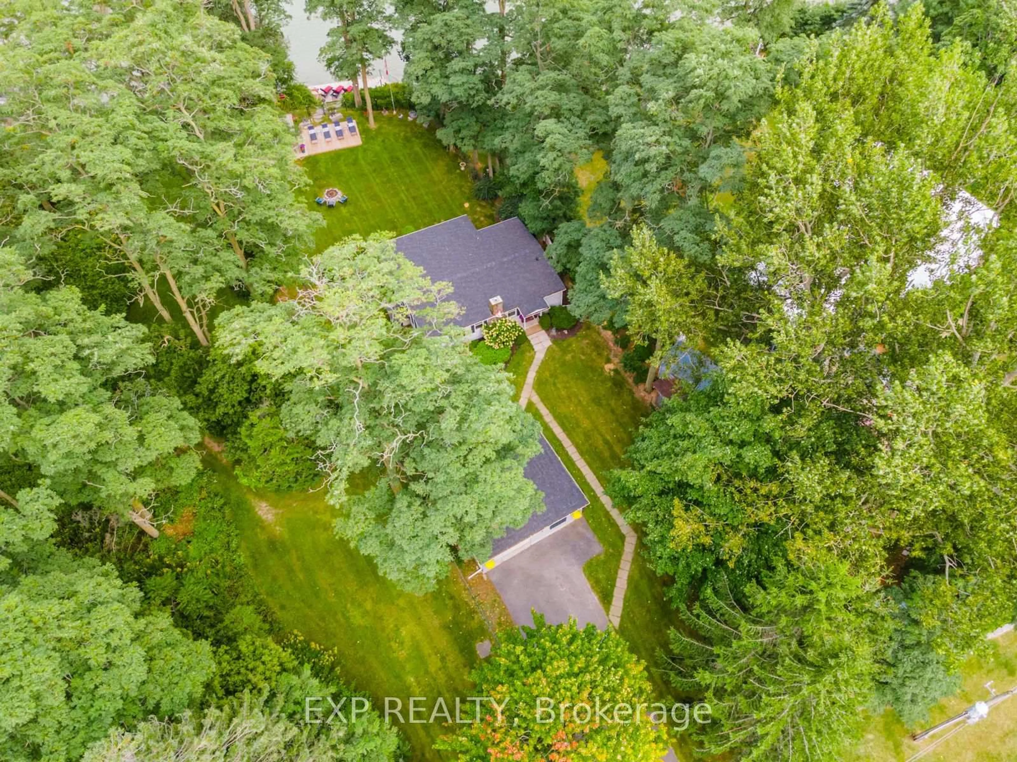 A pic from outside/outdoor area/front of a property/back of a property/a pic from drone, forest/trees view for 113 Victoria Beach Rd, Cramahe Ontario K0K 1S0