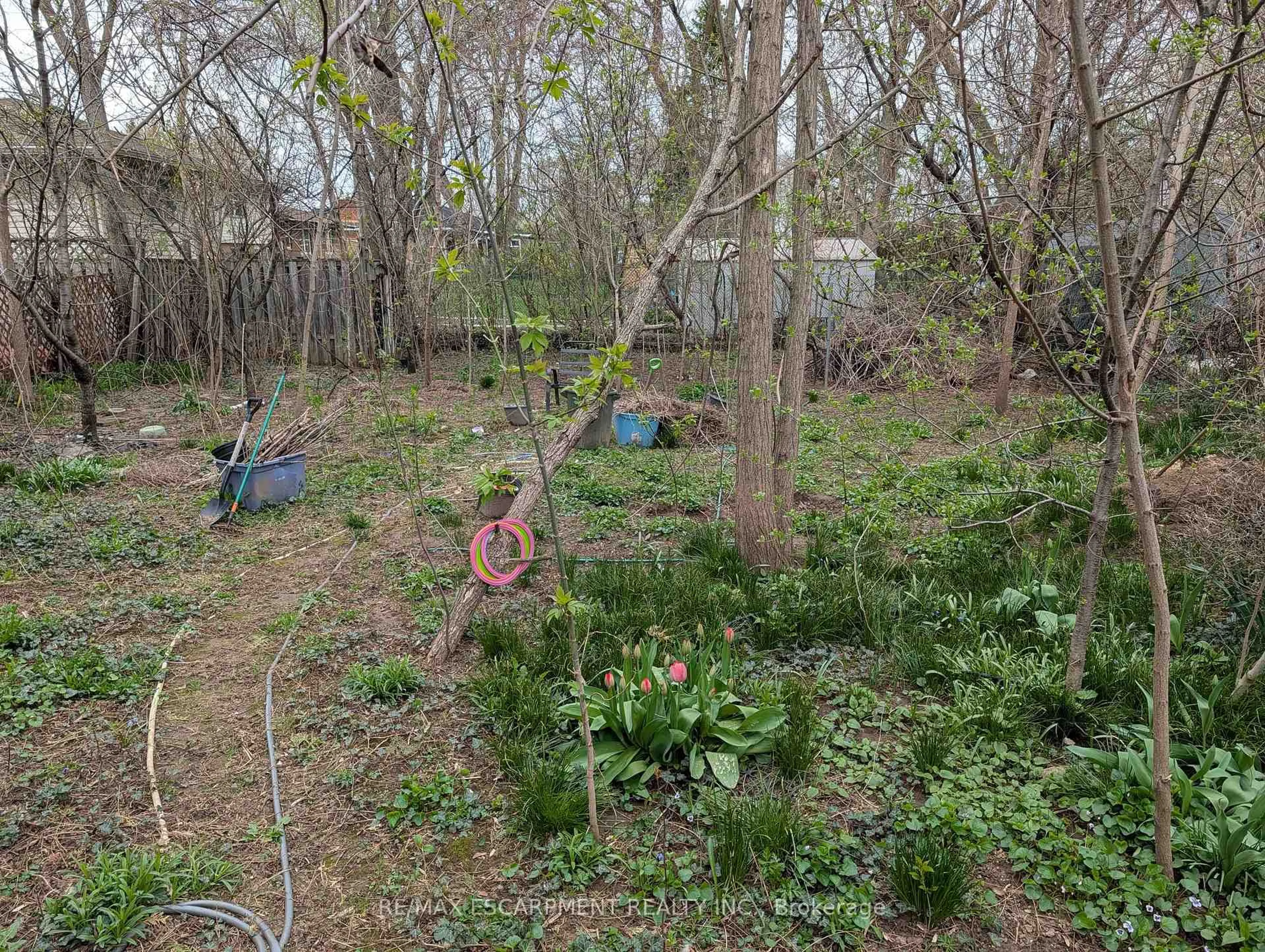 A pic from outside/outdoor area/front of a property/back of a property/a pic from drone, forest/trees view for 115 King St, Hamilton Ontario L8G 1L2