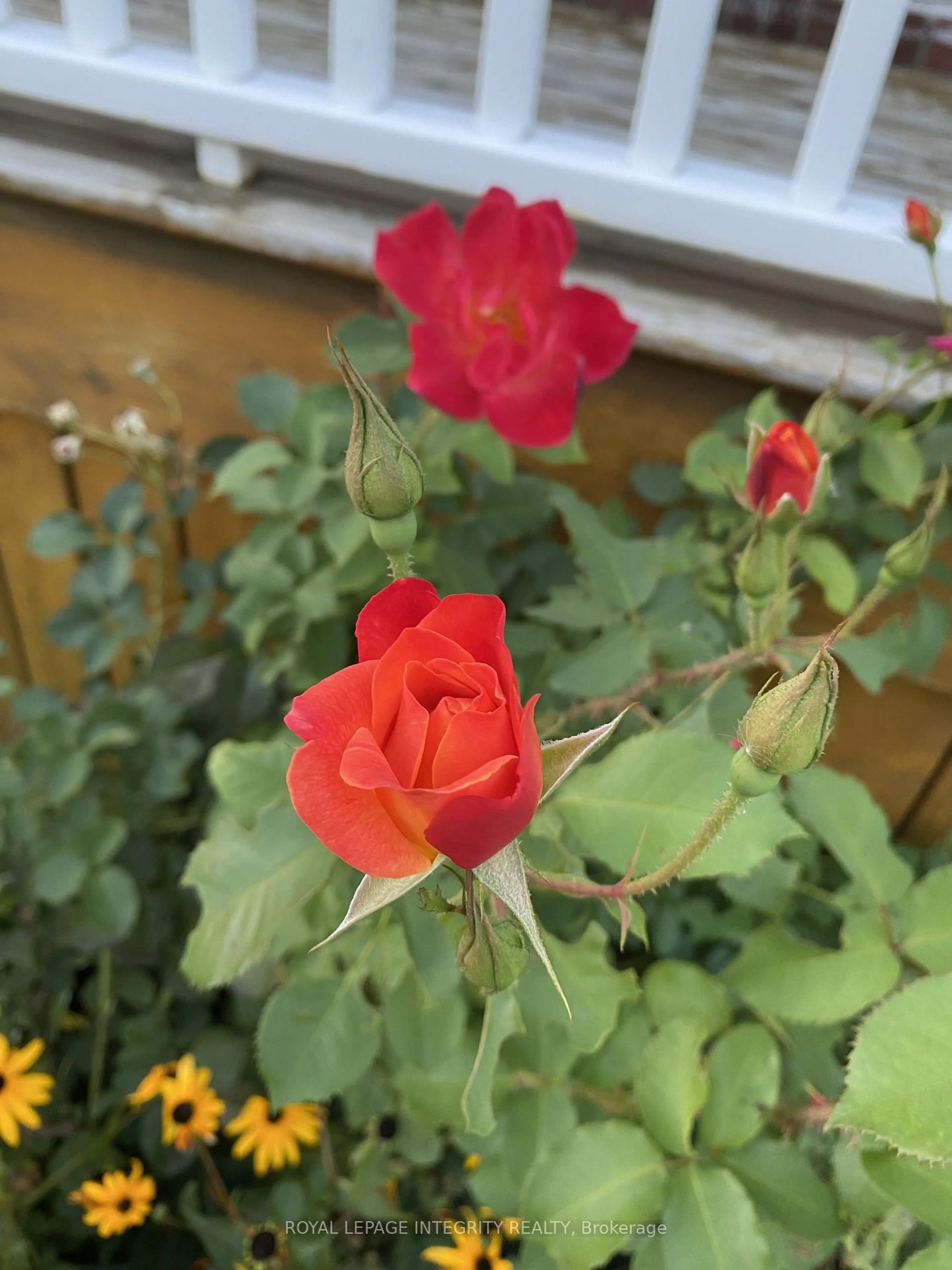 Blurry image for 3264 Johnston Ave, Cornwall Ontario K6K 1H3