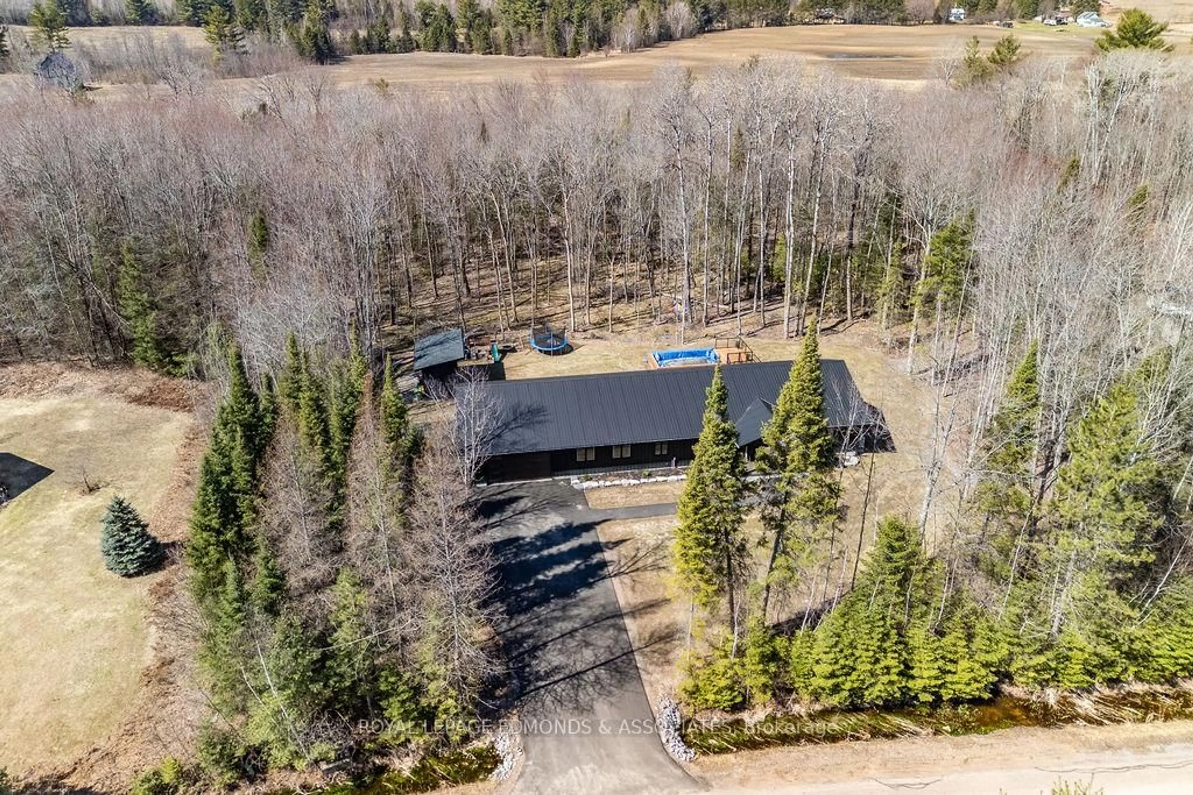 A pic from outside/outdoor area/front of a property/back of a property/a pic from drone, forest/trees view for 151 Sufian St, Pembroke Ontario K8A 6W6