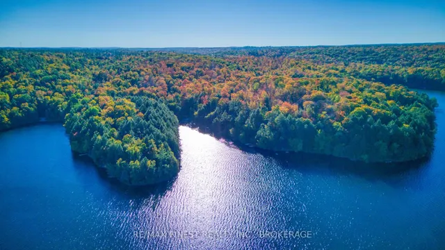 1778 Brule Lake Rd, Plevna 2