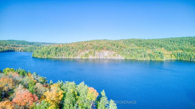 1778 Brule Lake Rd, Plevna 5