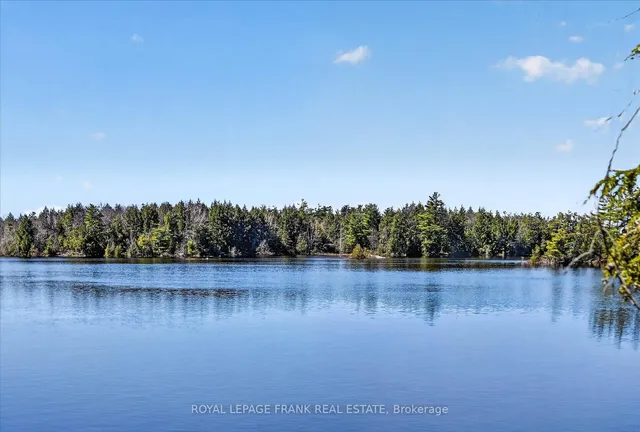 1484 Birchview Rd, Douro-Dummer 3
