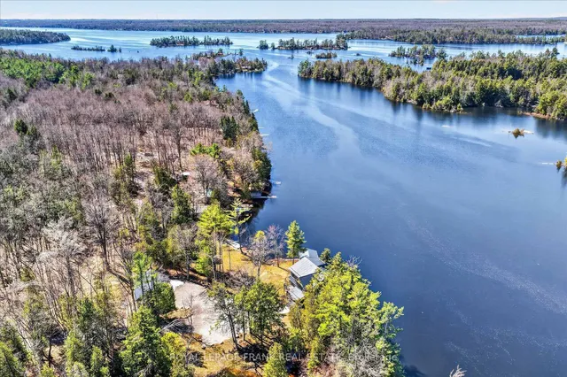 1484 Birchview Rd, Douro-Dummer 5