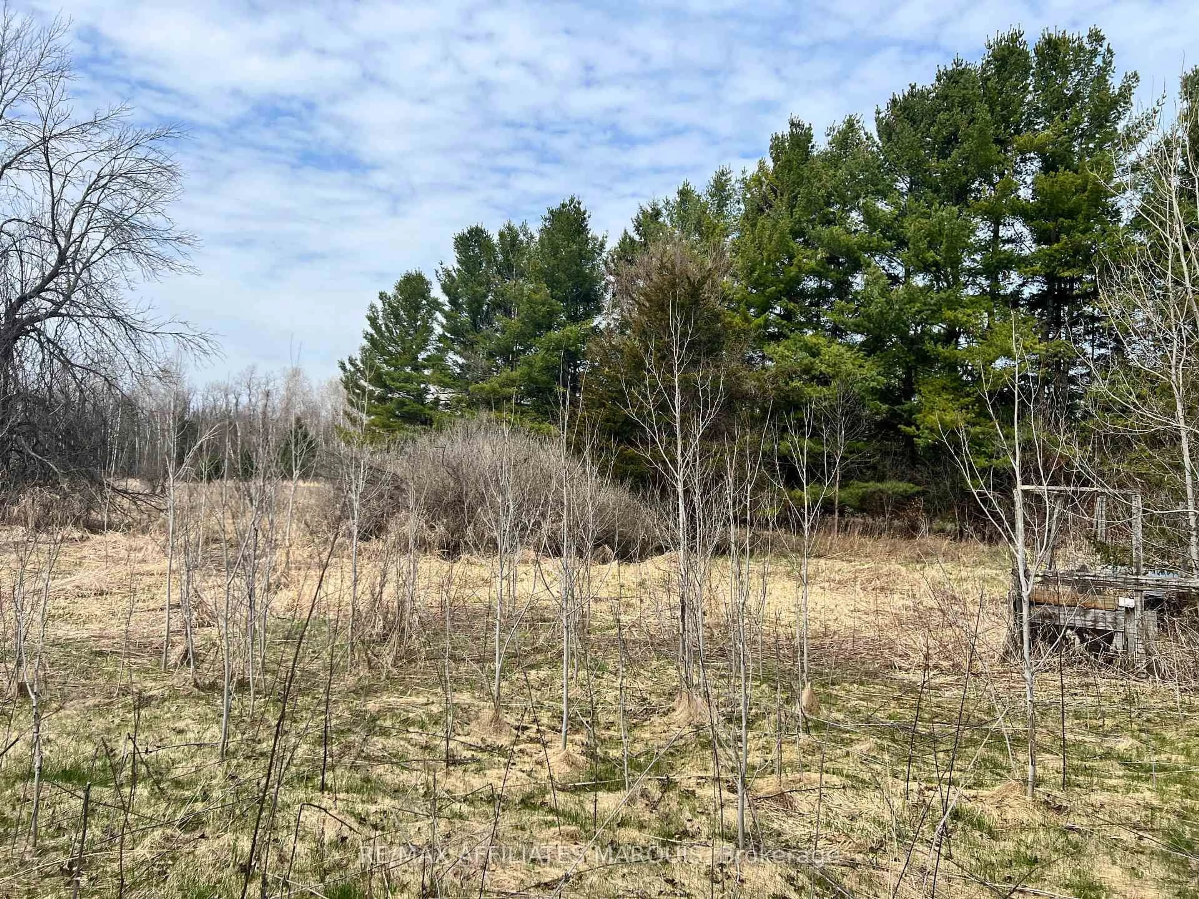 A pic from outside/outdoor area/front of a property/back of a property/a pic from drone, forest/trees view for 2556 6th Line Beckwith Line, Smiths Falls Ontario K7A 4S7