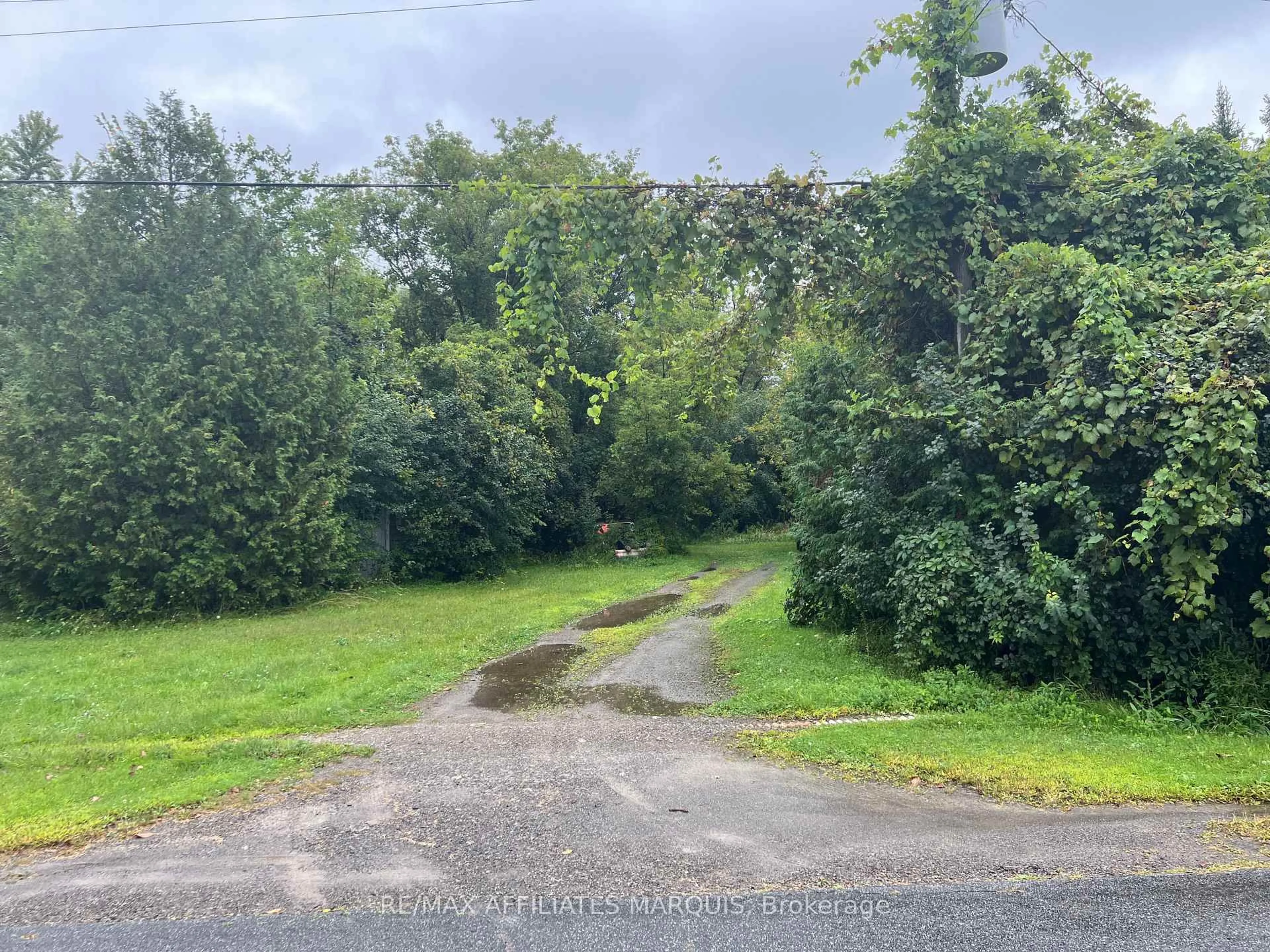 A pic from outside/outdoor area/front of a property/back of a property/a pic from drone, forest/trees view for 75 Union St, Smiths Falls Ontario K7A 4S4