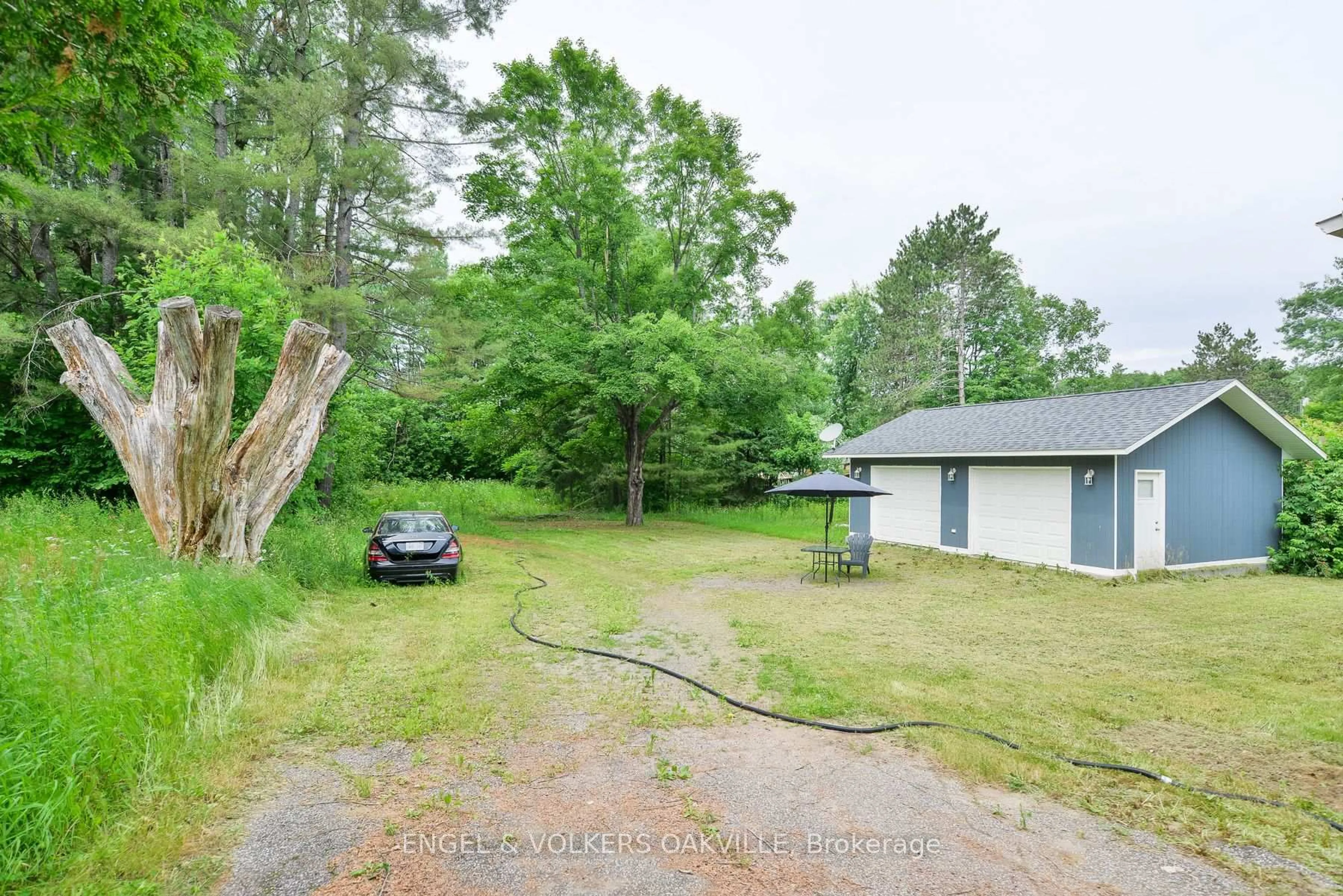 A pic from outside/outdoor area/front of a property/back of a property/a pic from drone, forest/trees view for 253 Maple St, Bracebridge Ontario P1L 1K3