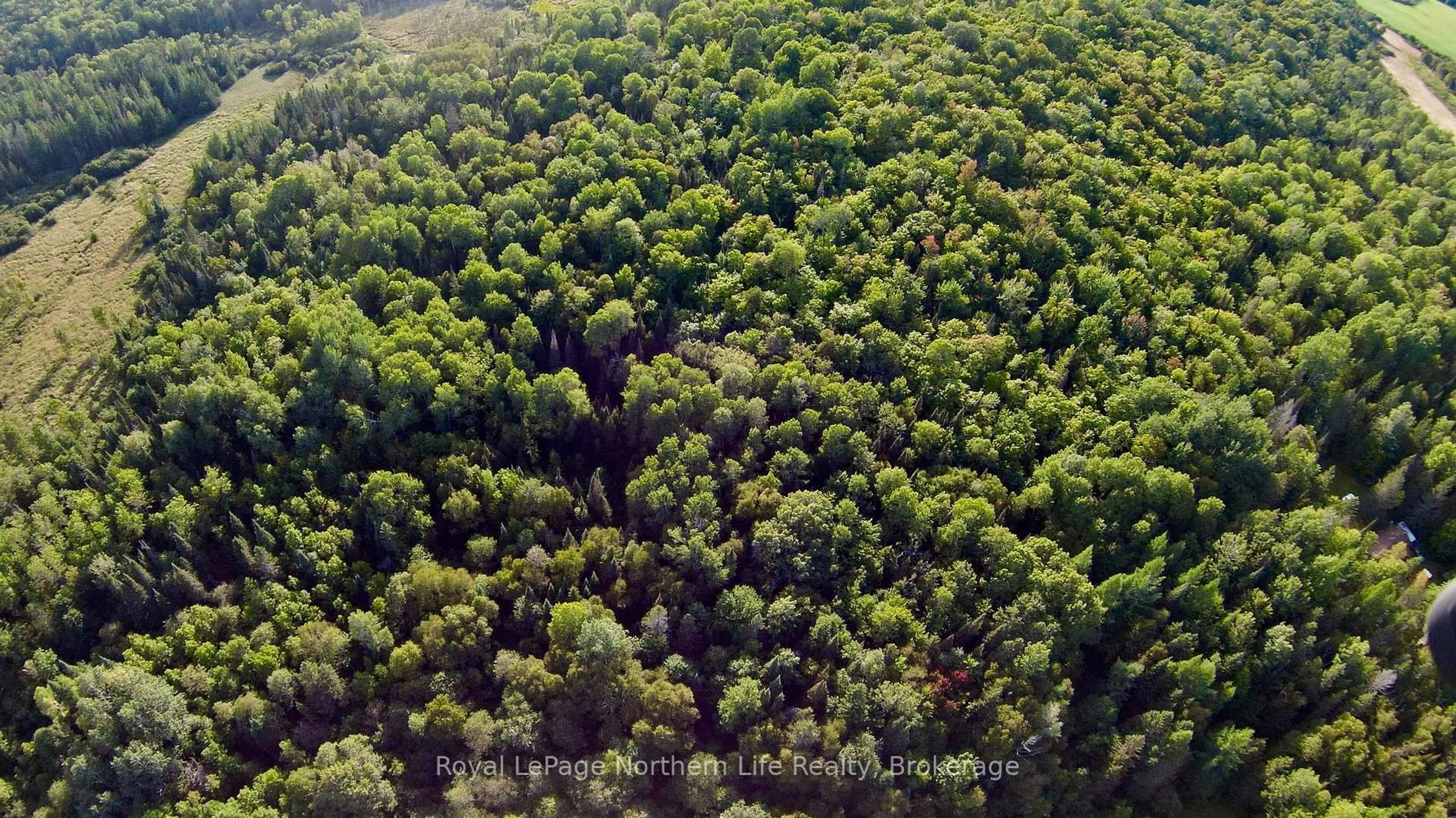 A pic from outside/outdoor area/front of a property/back of a property/a pic from drone, forest/trees view for 799 Maple Hill Rd, Powassan Ontario P0H 1Z0