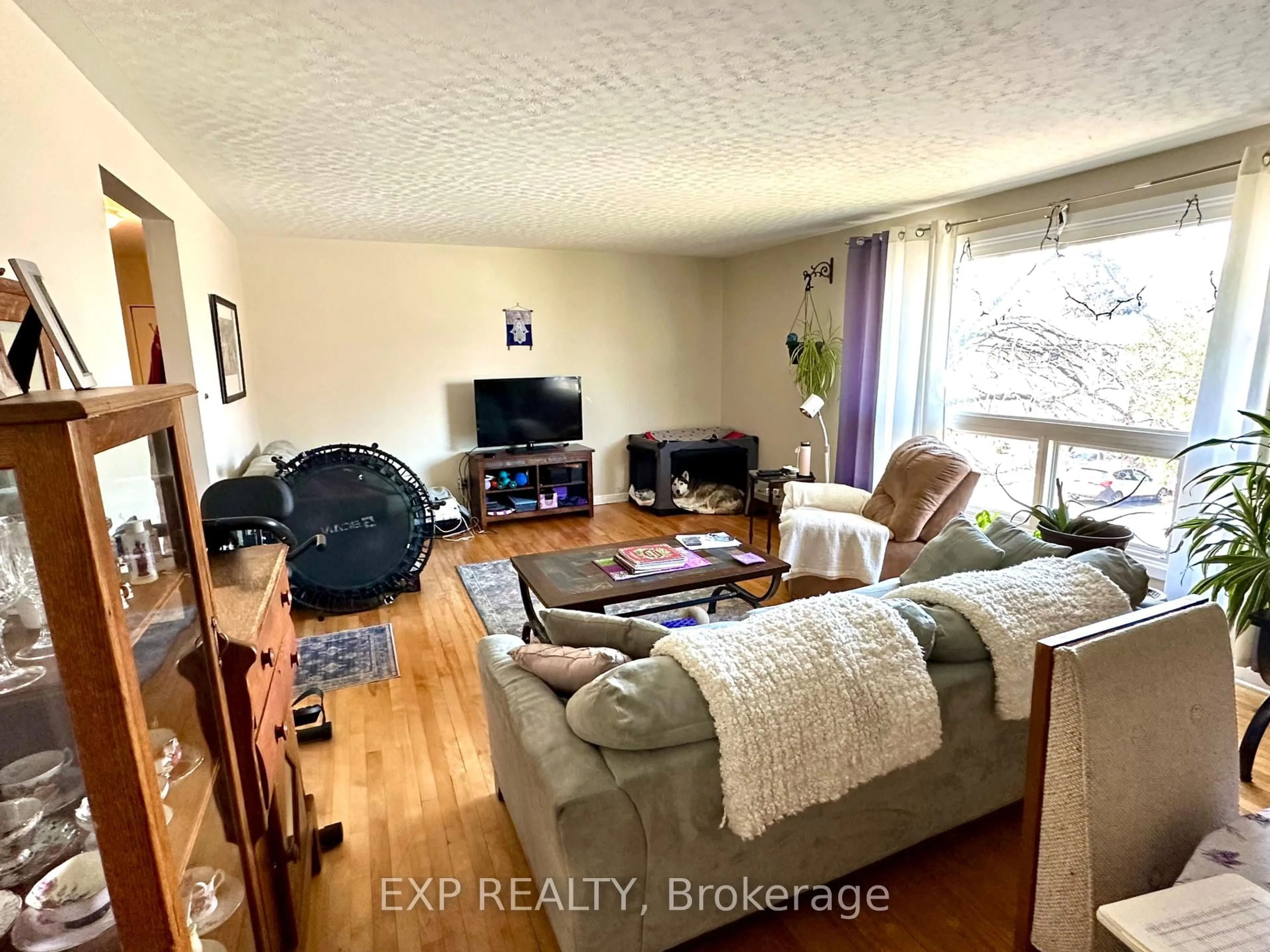 Living room with furniture, wood/laminate floor for 911 PINEWOOD Cres, Ottawa Ontario K2B 5Y3