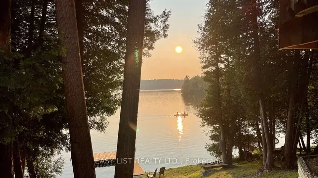 1990 White Lake Rd, Douro-Dummer 3
