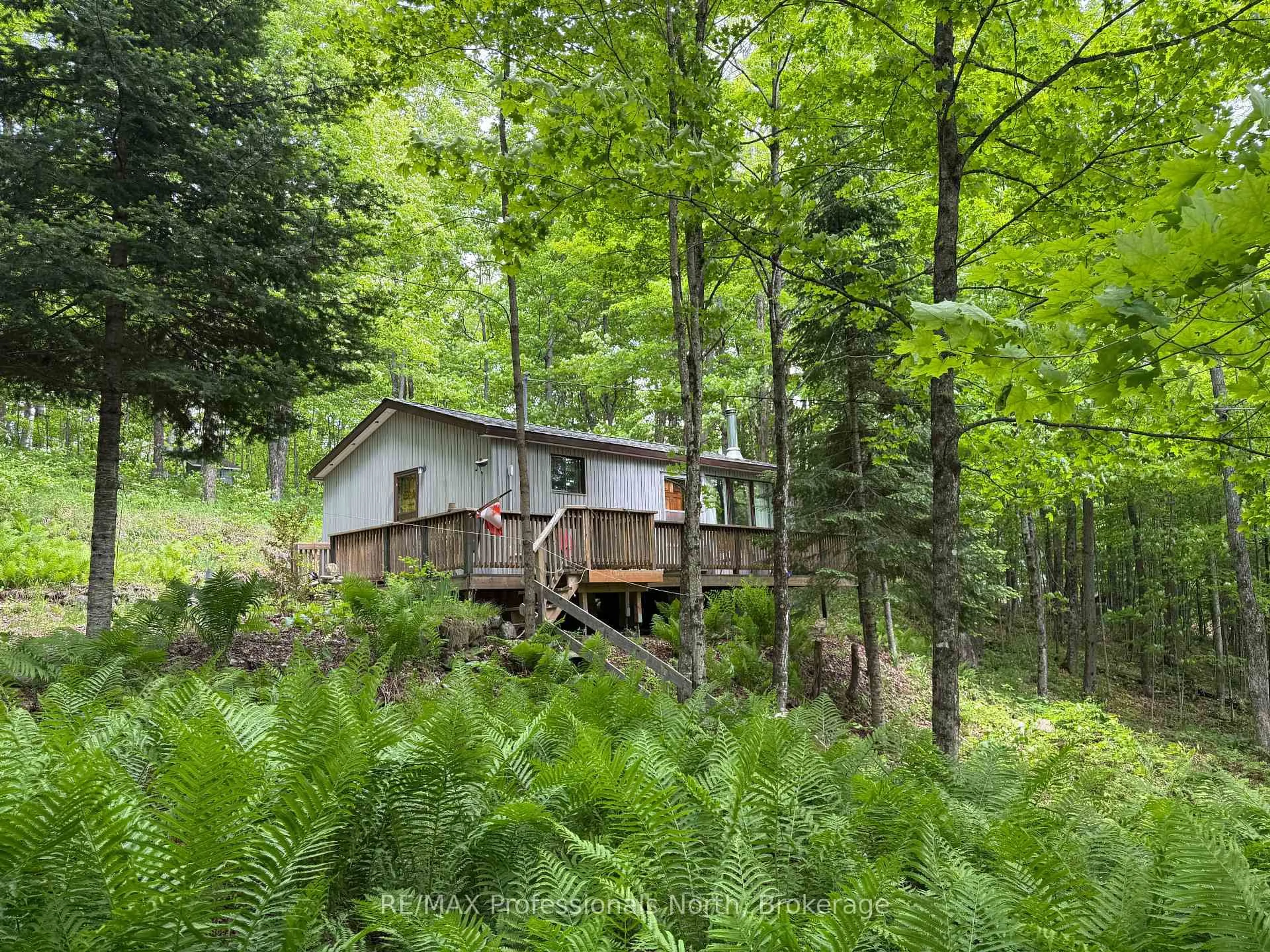 A pic from outside/outdoor area/front of a property/back of a property/a pic from drone, forest/trees view for 1025 Manitou Rd, Dysart et al Ontario K0M 1S0