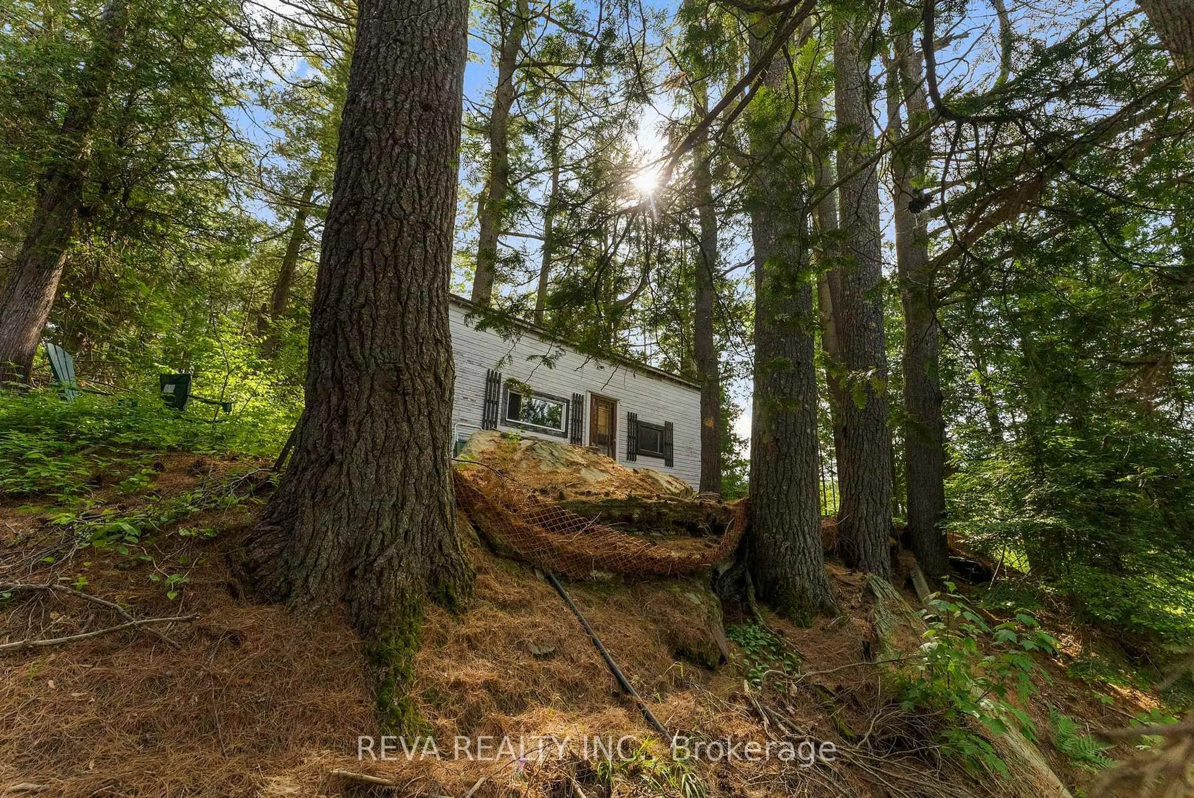 A pic from outside/outdoor area/front of a property/back of a property/a pic from drone, forest/trees view for 35532 Highway 28 Highway, Carlow/Mayo Ontario K0L 2M0