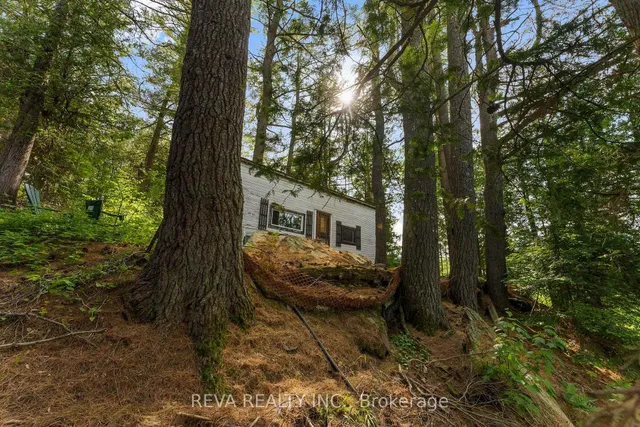35532 Highway 28 Highway, Carlow/Mayo 3