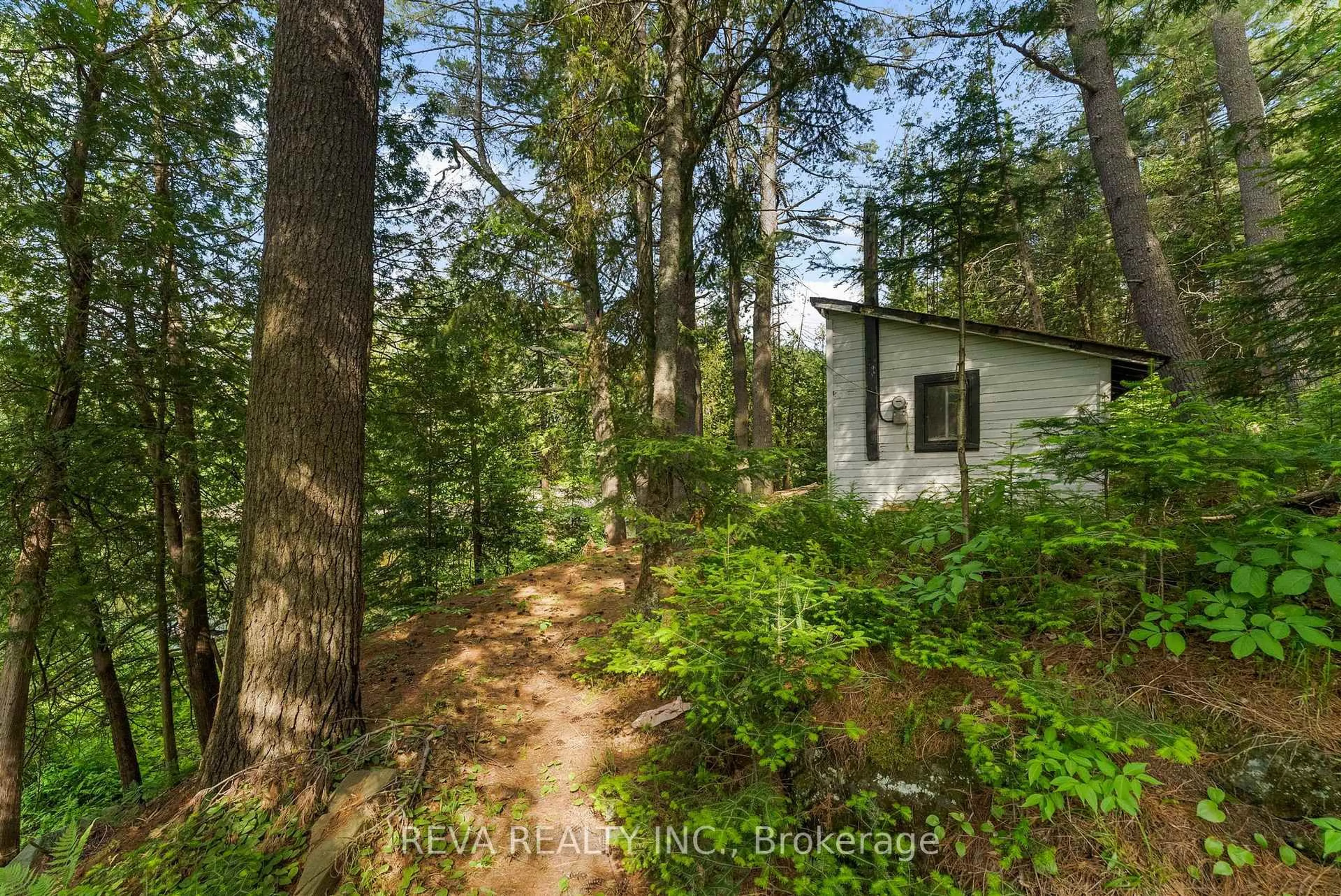 A pic from outside/outdoor area/front of a property/back of a property/a pic from drone, forest/trees view for 35532 Highway 28 Highway, Carlow/Mayo Ontario K0L 2M0