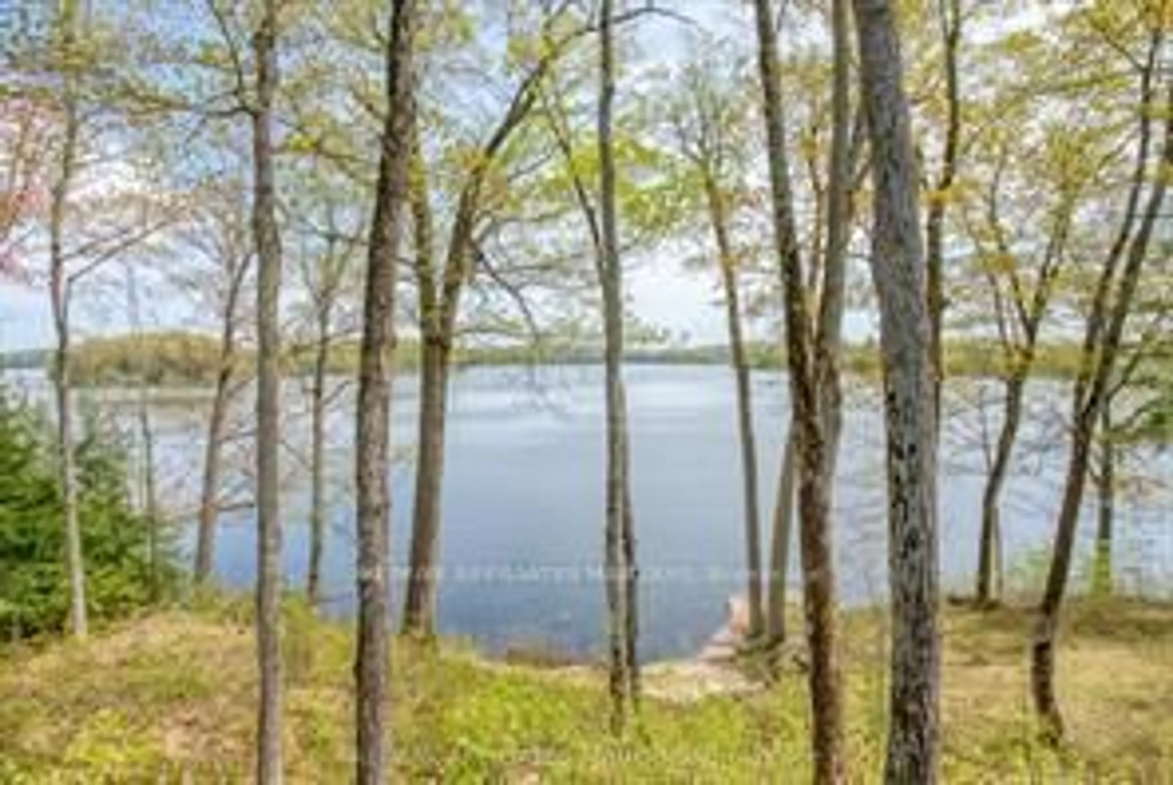 Blurry image for 787 Sherbrooke Dr, Maberly Ontario K0H 2B0