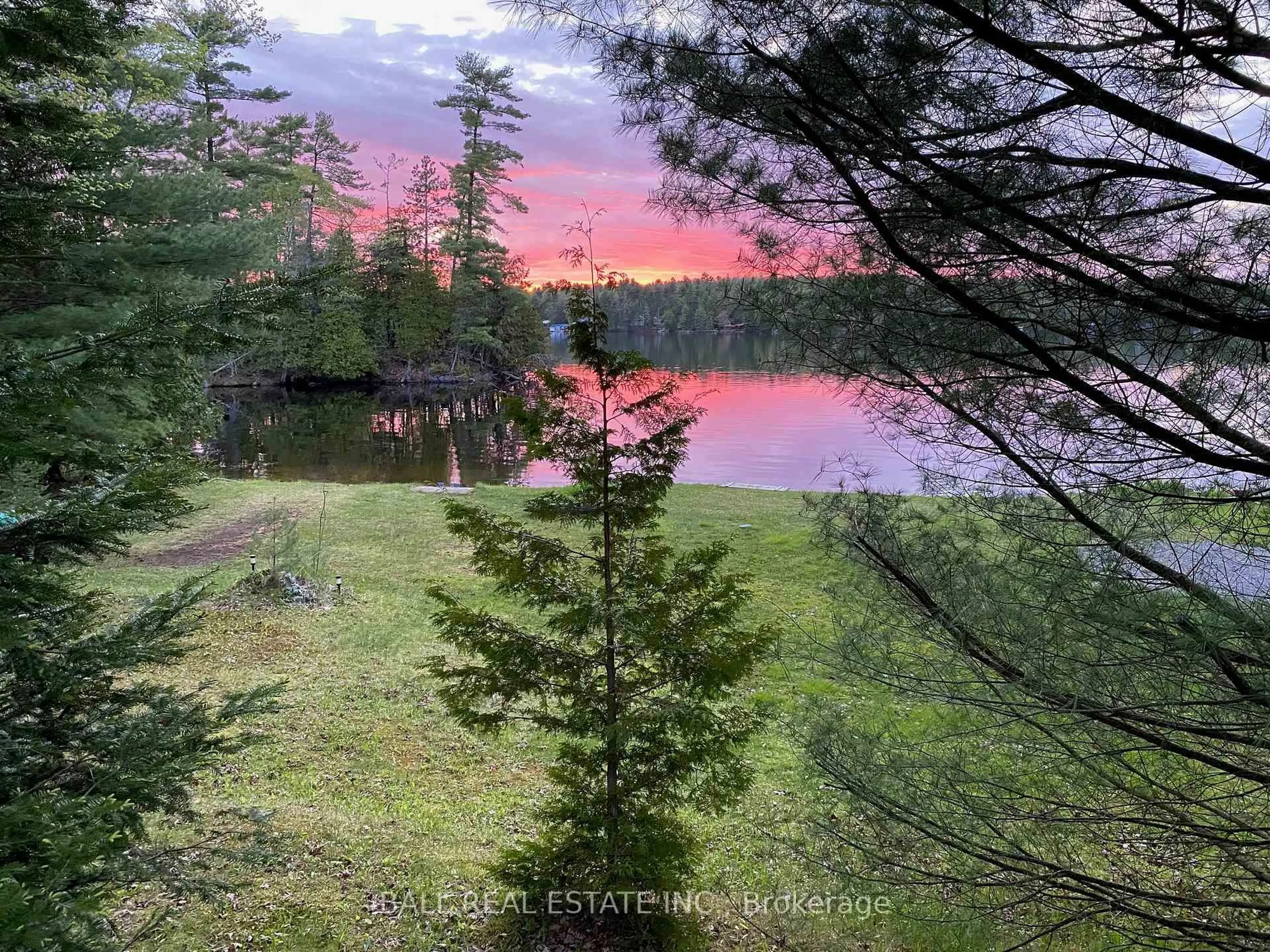 A pic from outside/outdoor area/front of a property/back of a property/a pic from drone, forest/trees view for 394 Fire Route 54, Havelock-Belmont-Methuen Ontario K0L 1Z0
