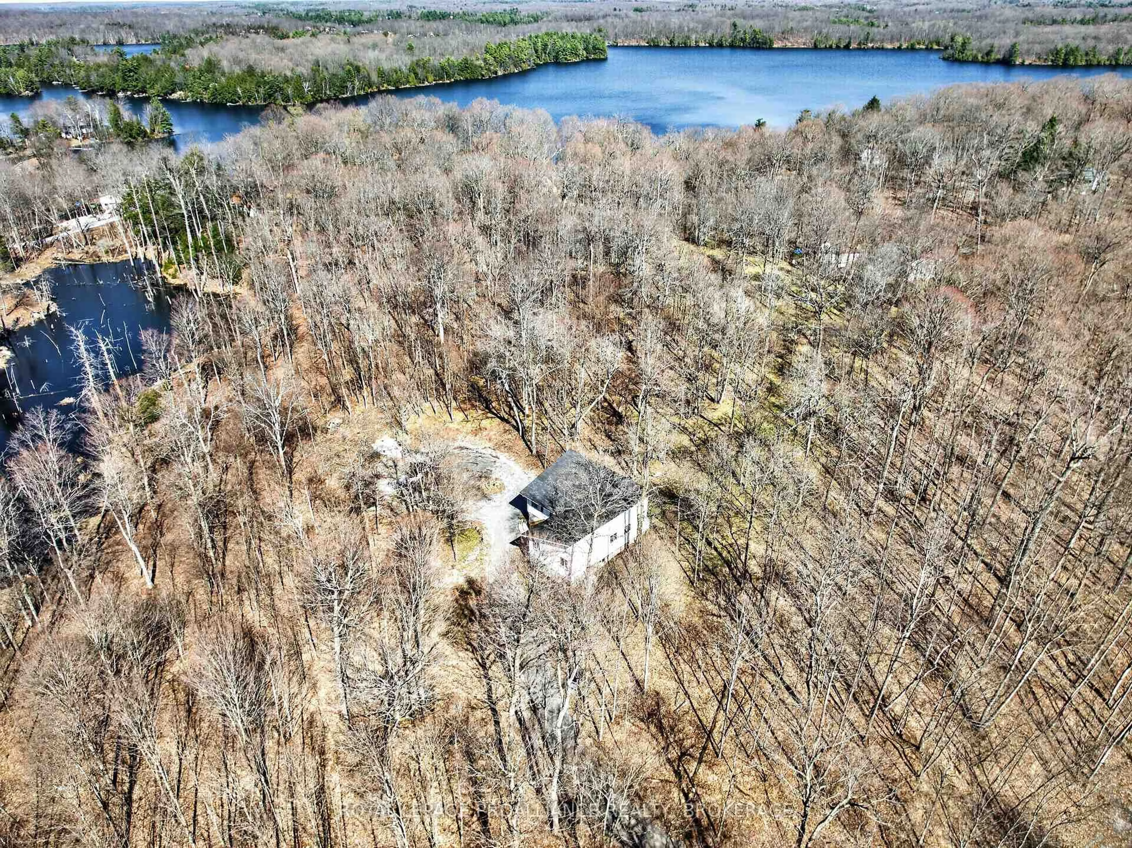 A pic from outside/outdoor area/front of a property/back of a property/a pic from drone, water/lake/river/ocean view for 289 MAPLE GROVE Lane, Tichborne Ontario K0H 2V0