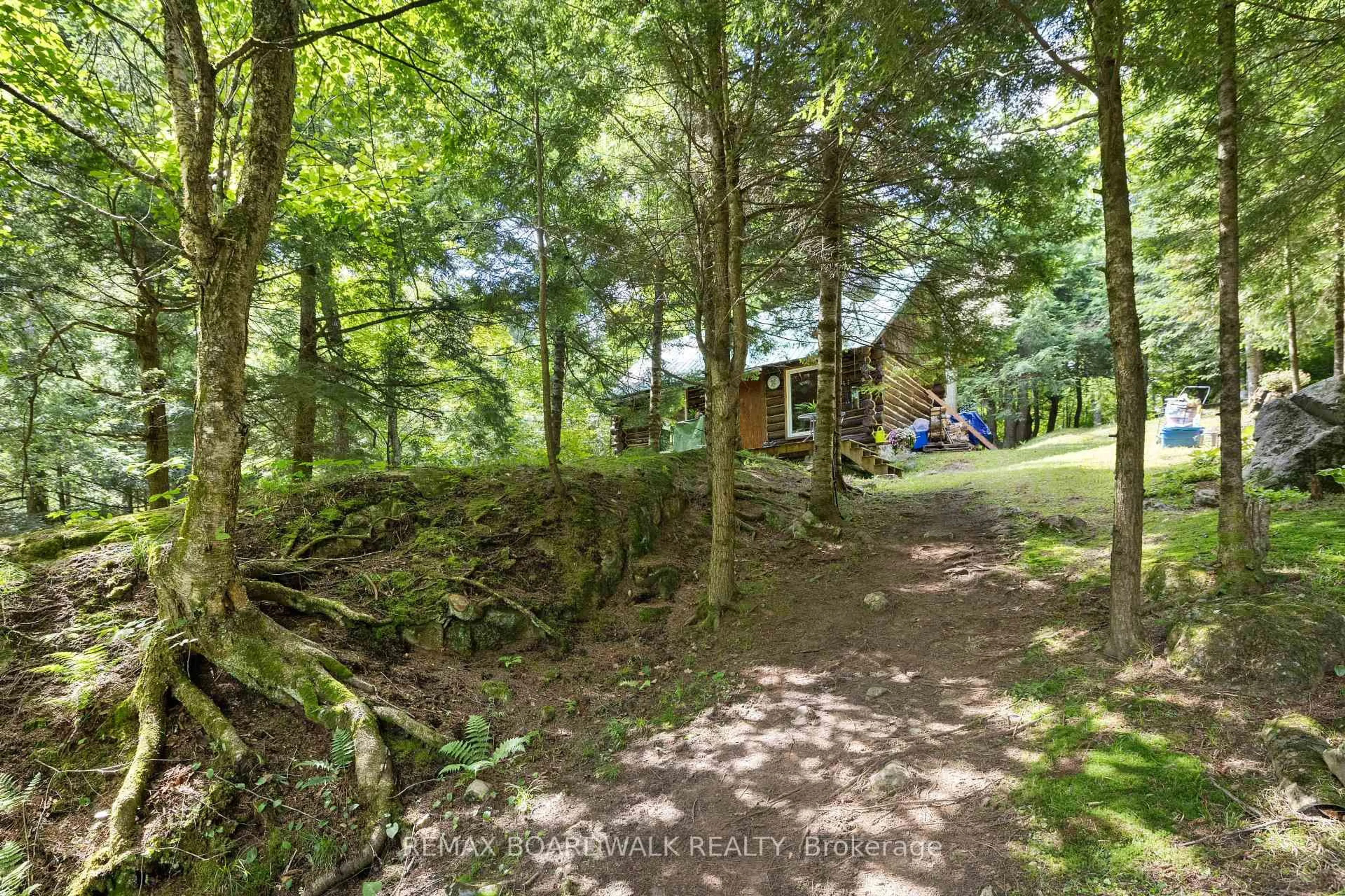 A pic from outside/outdoor area/front of a property/back of a property/a pic from drone, forest/trees view for 24163 Highway 7 Highway, Sharbot Lake Ontario K0H 2P0