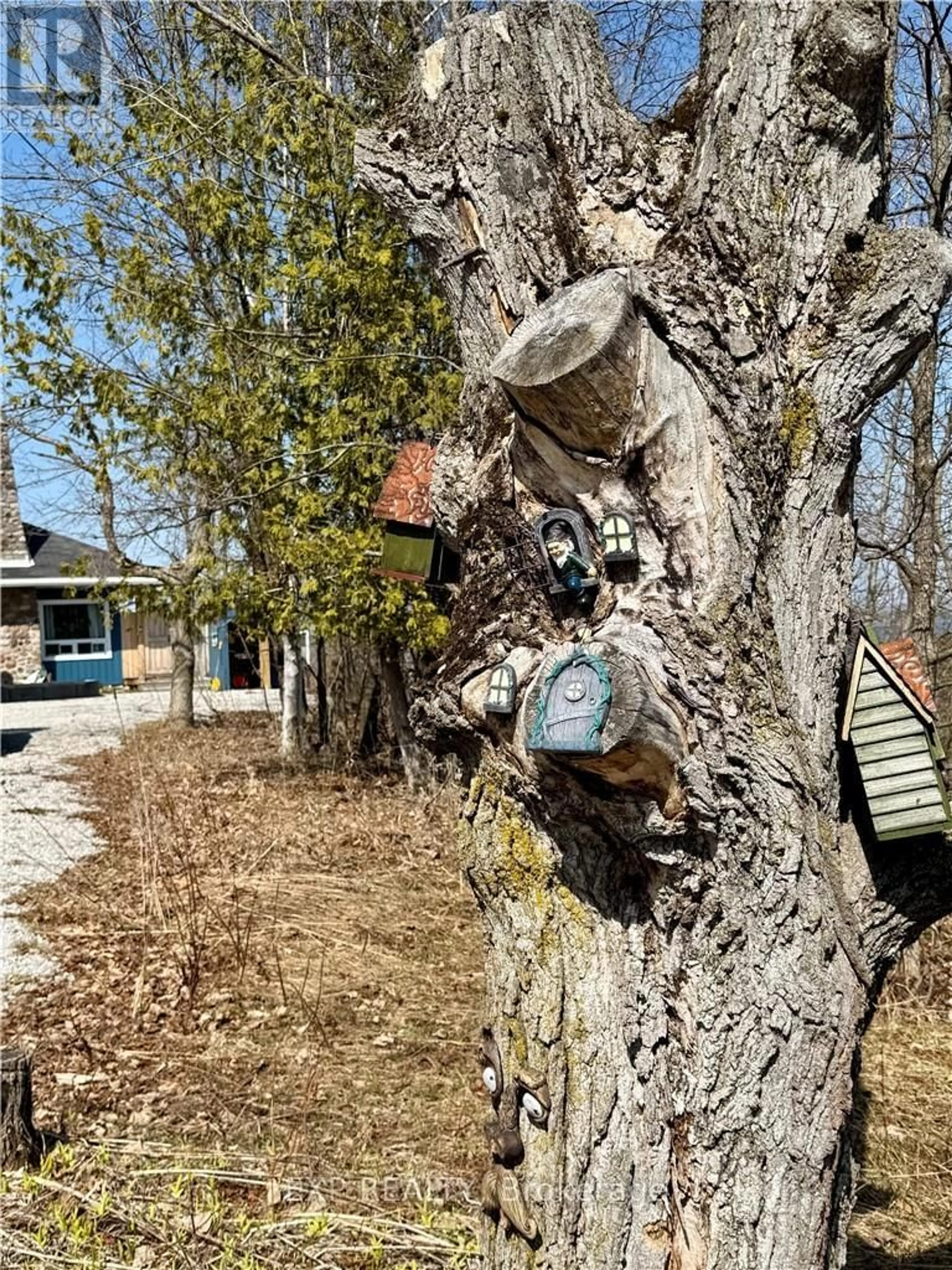 A pic from outside/outdoor area/front of a property/back of a property/a pic from drone, street for 50 Scotts Bluff, Burpee & Mills Ontario P0P 1E0