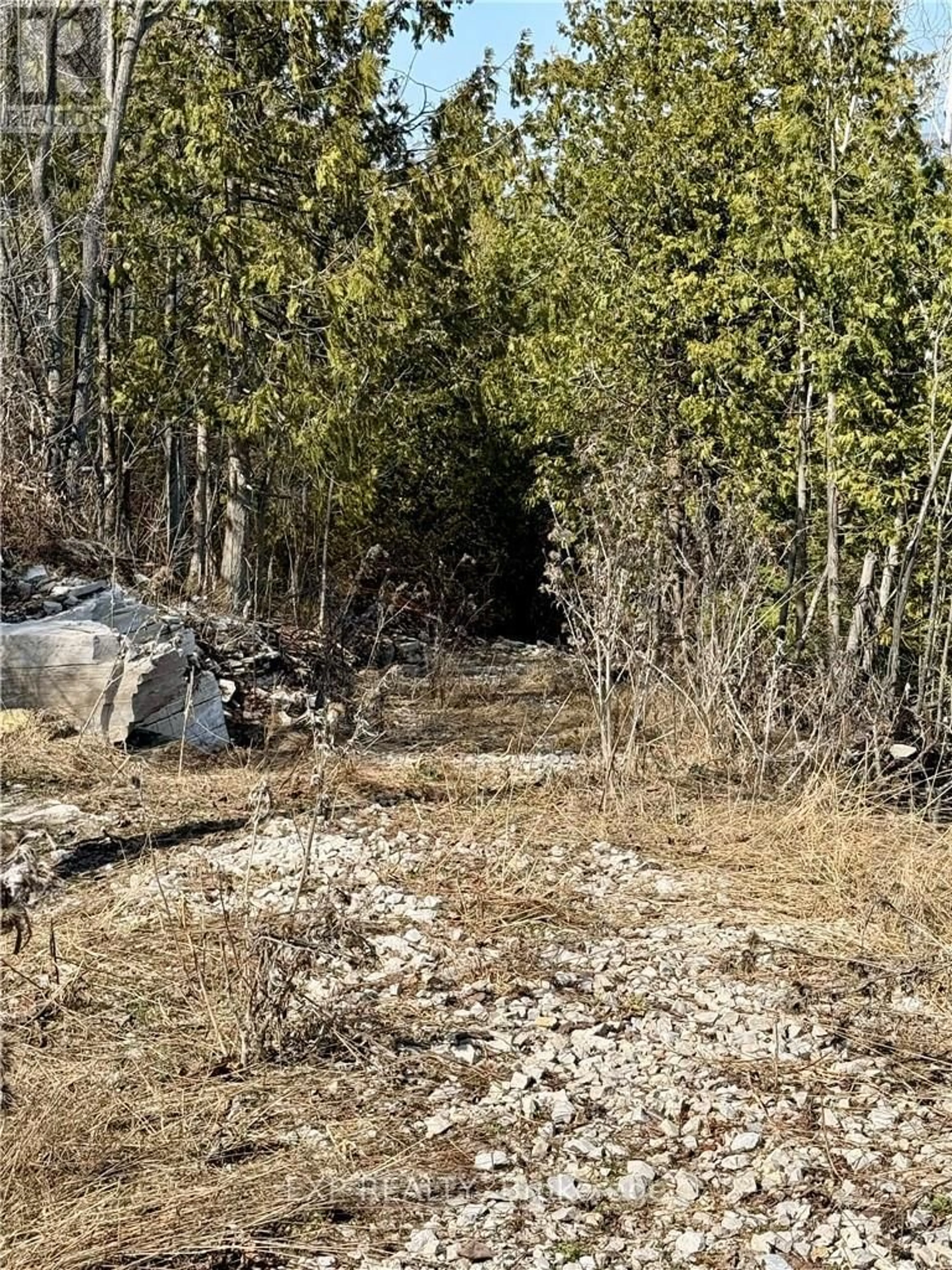 A pic of a room for 50 Scotts Bluff, Burpee & Mills Ontario P0P 1E0
