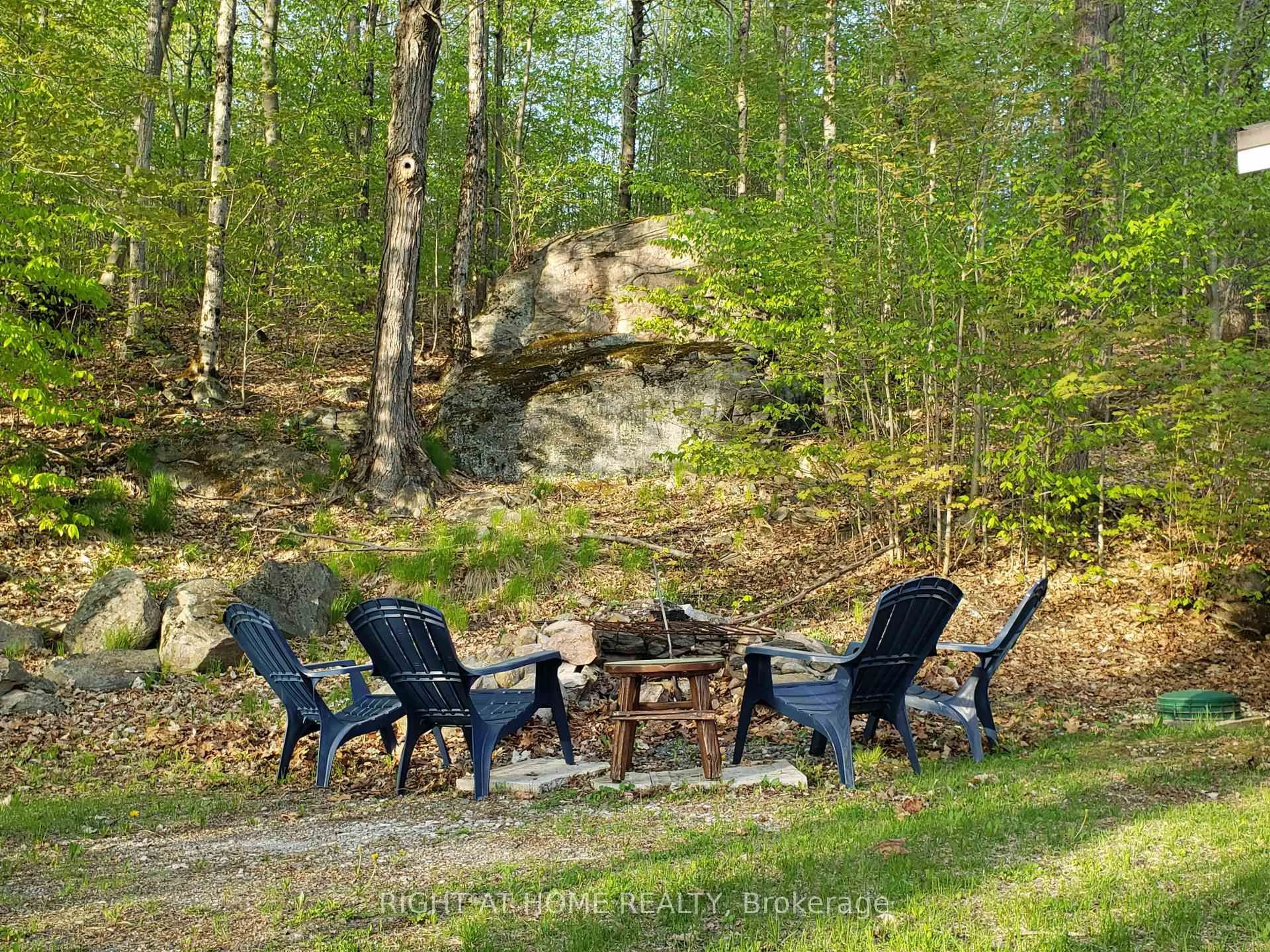 Patio, forest/trees view for 16366 Hwy 35, Algonquin Highlands Ontario K0M 2K0