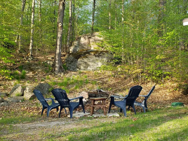 16366 Hwy 35, Algonquin Highlands 2