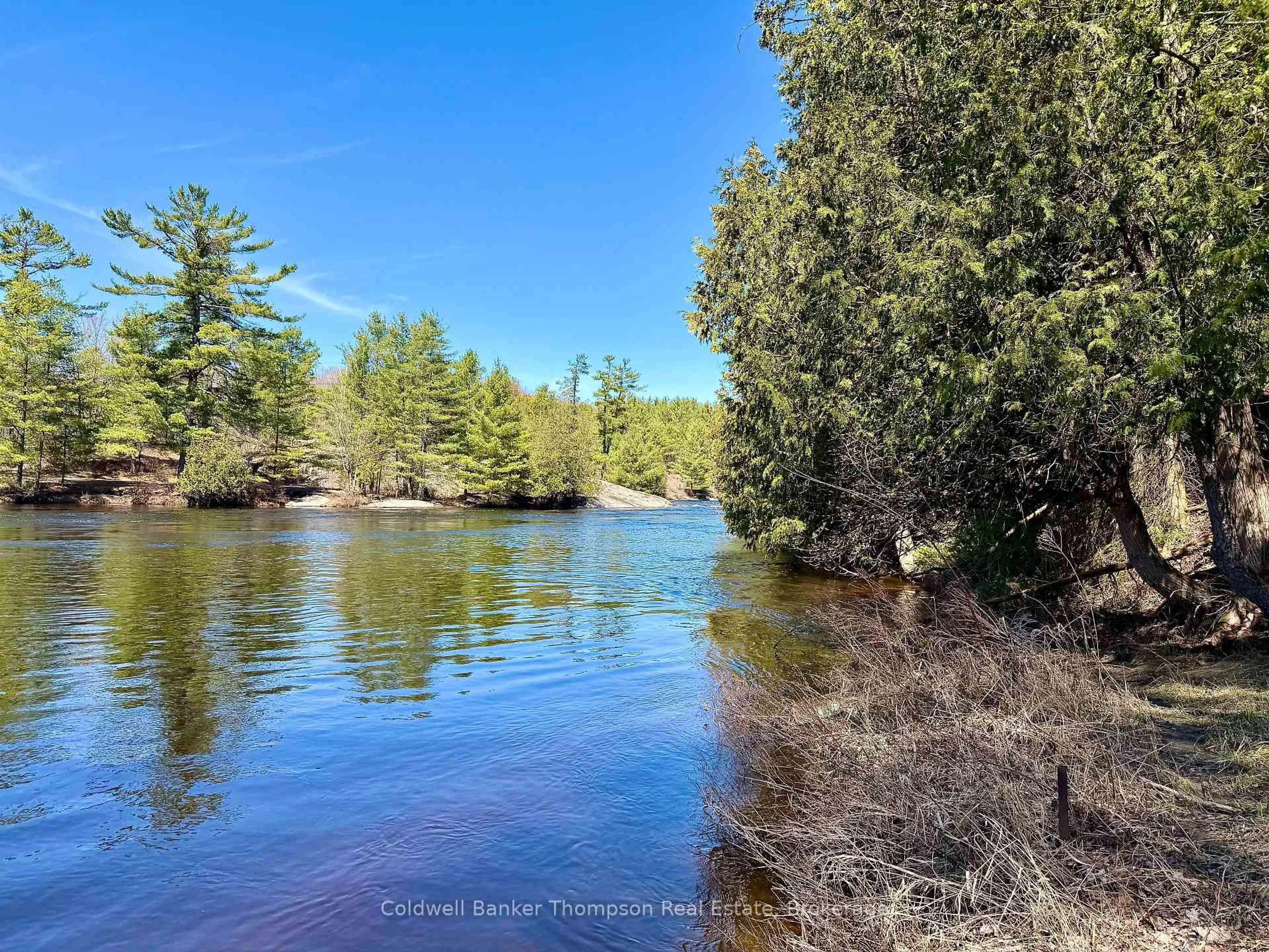 Unknown for 145 Front St, Bracebridge Ontario P1L 1J7