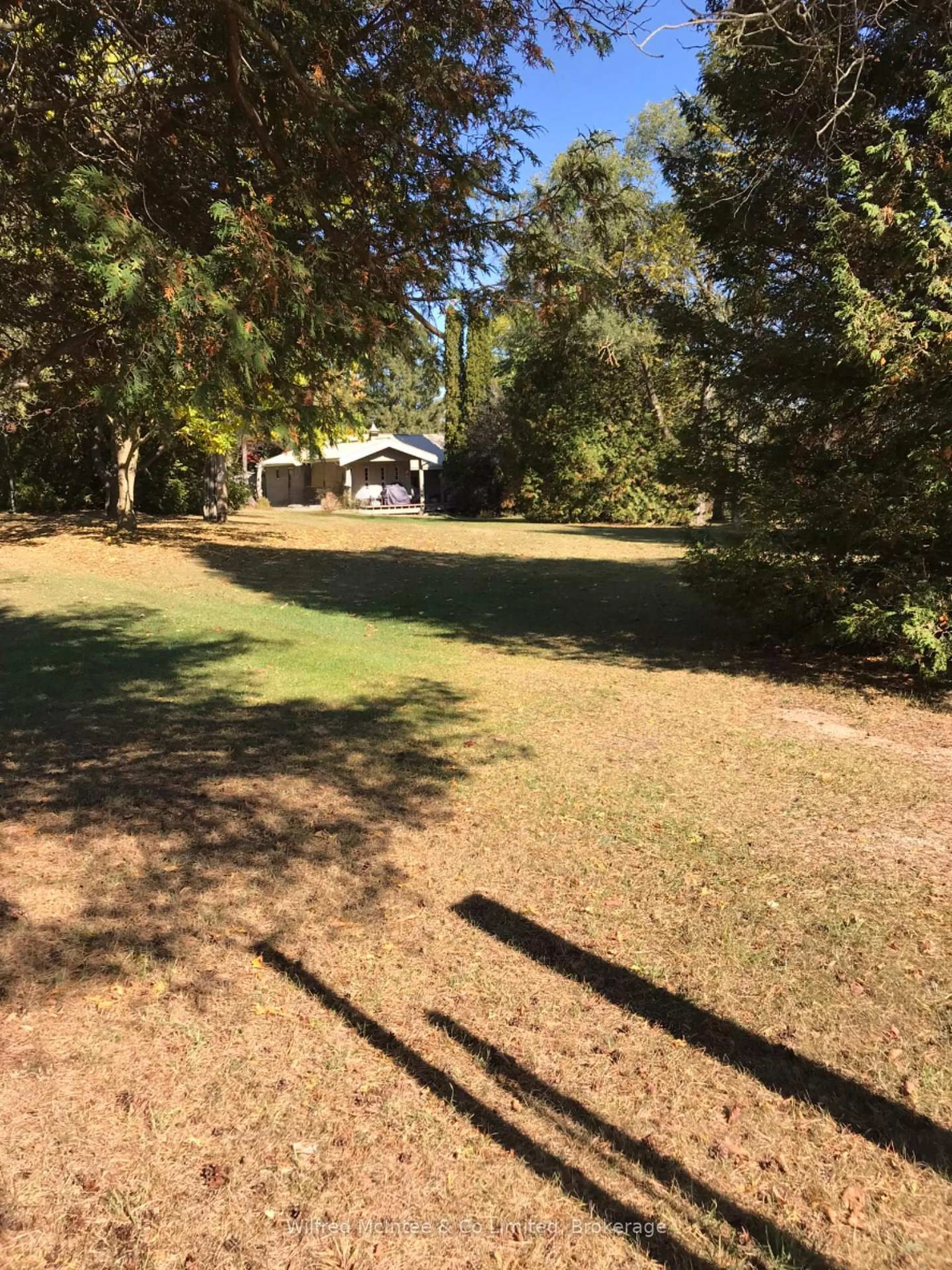 A pic from outside/outdoor area/front of a property/back of a property/a pic from drone, forest/trees view for 302299 Concession Rd 2 SDR, West Grey Ontario N4N 3B8