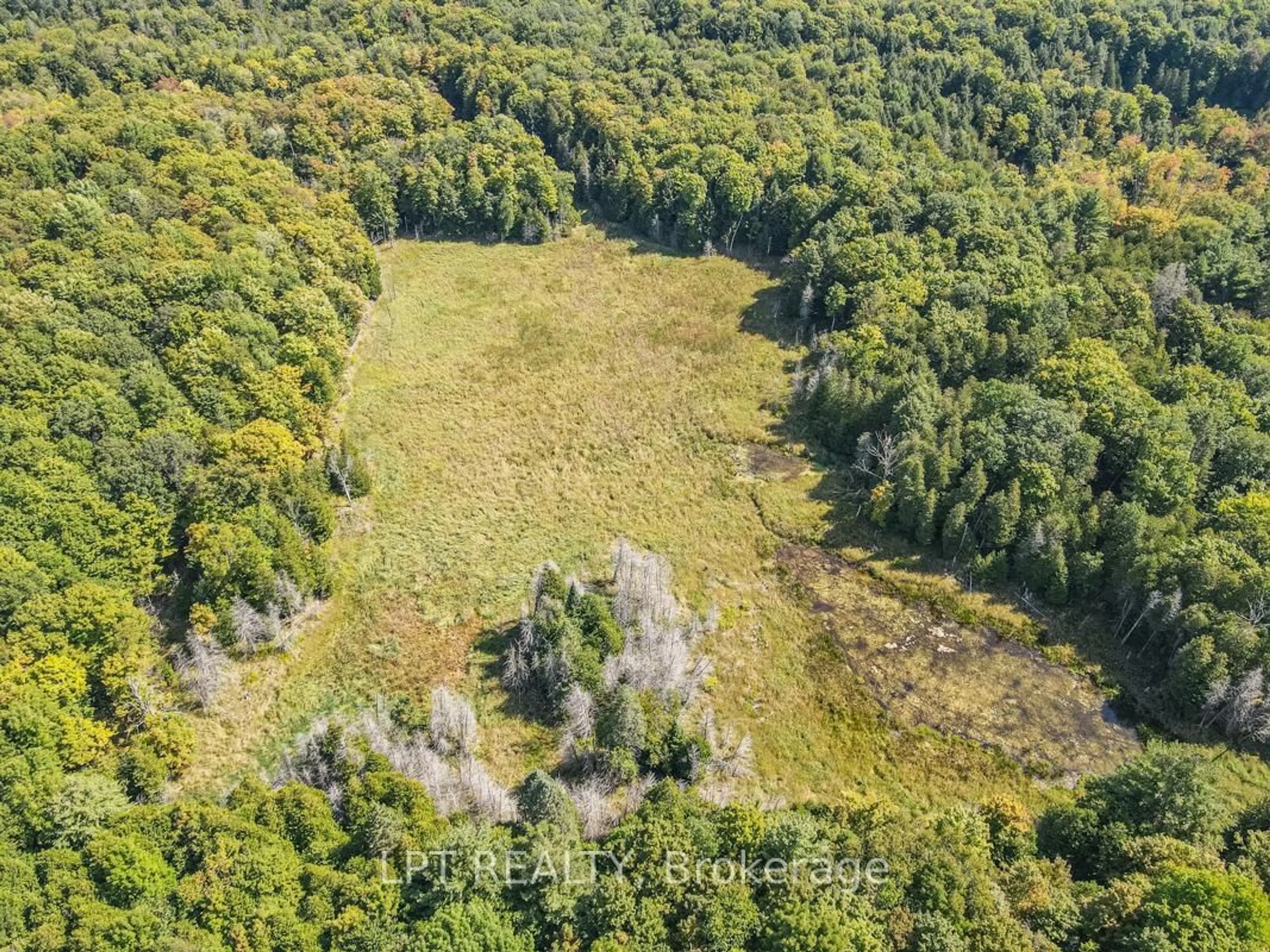 A pic from outside/outdoor area/front of a property/back of a property/a pic from drone, forest/trees view for 192 Gulf Rd, Limoges Ontario K0K 2M0
