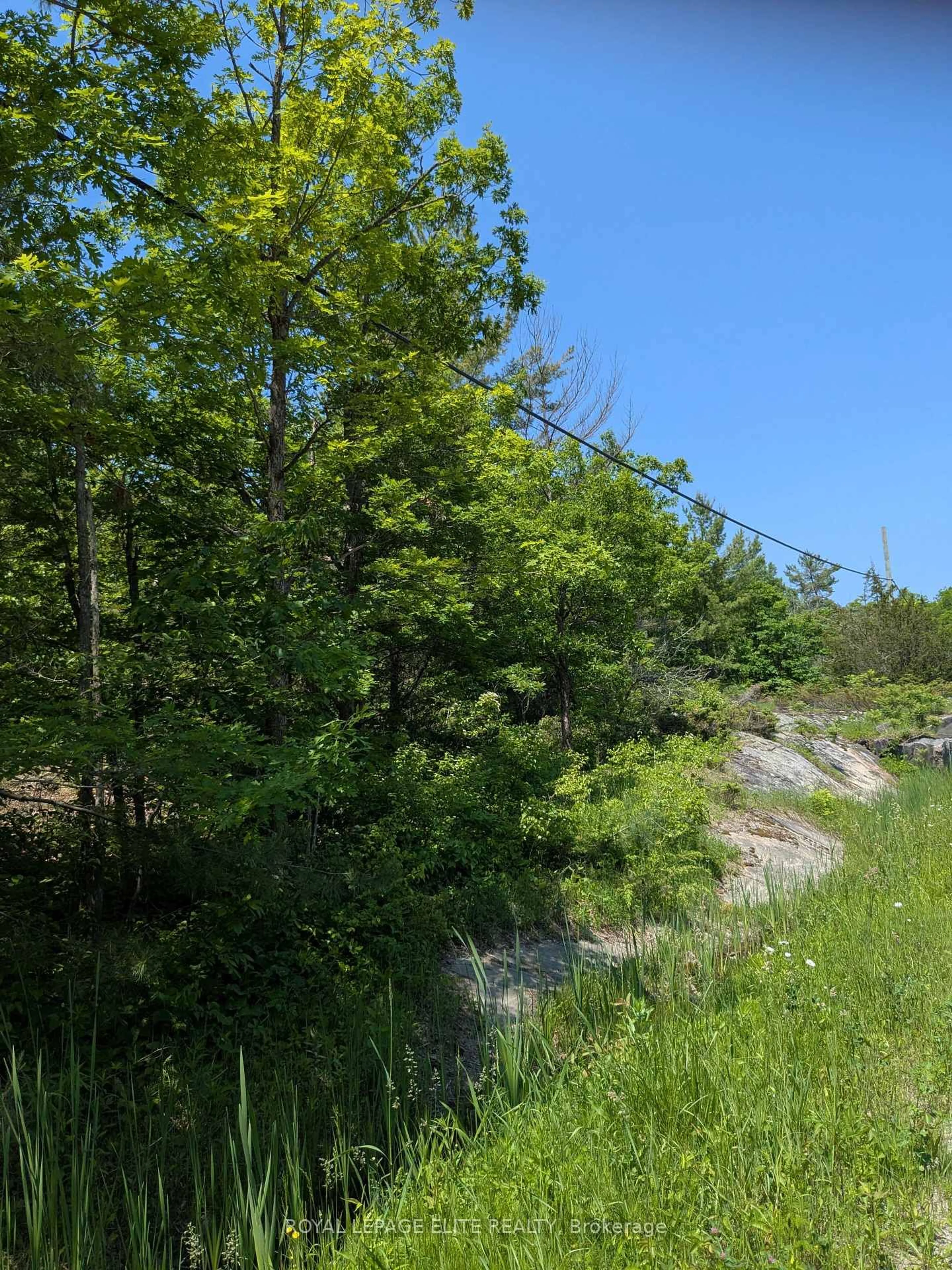 Blurry image for 559 HONEY HARBOUR Rd, Georgian Bay Ontario L0K 1S0