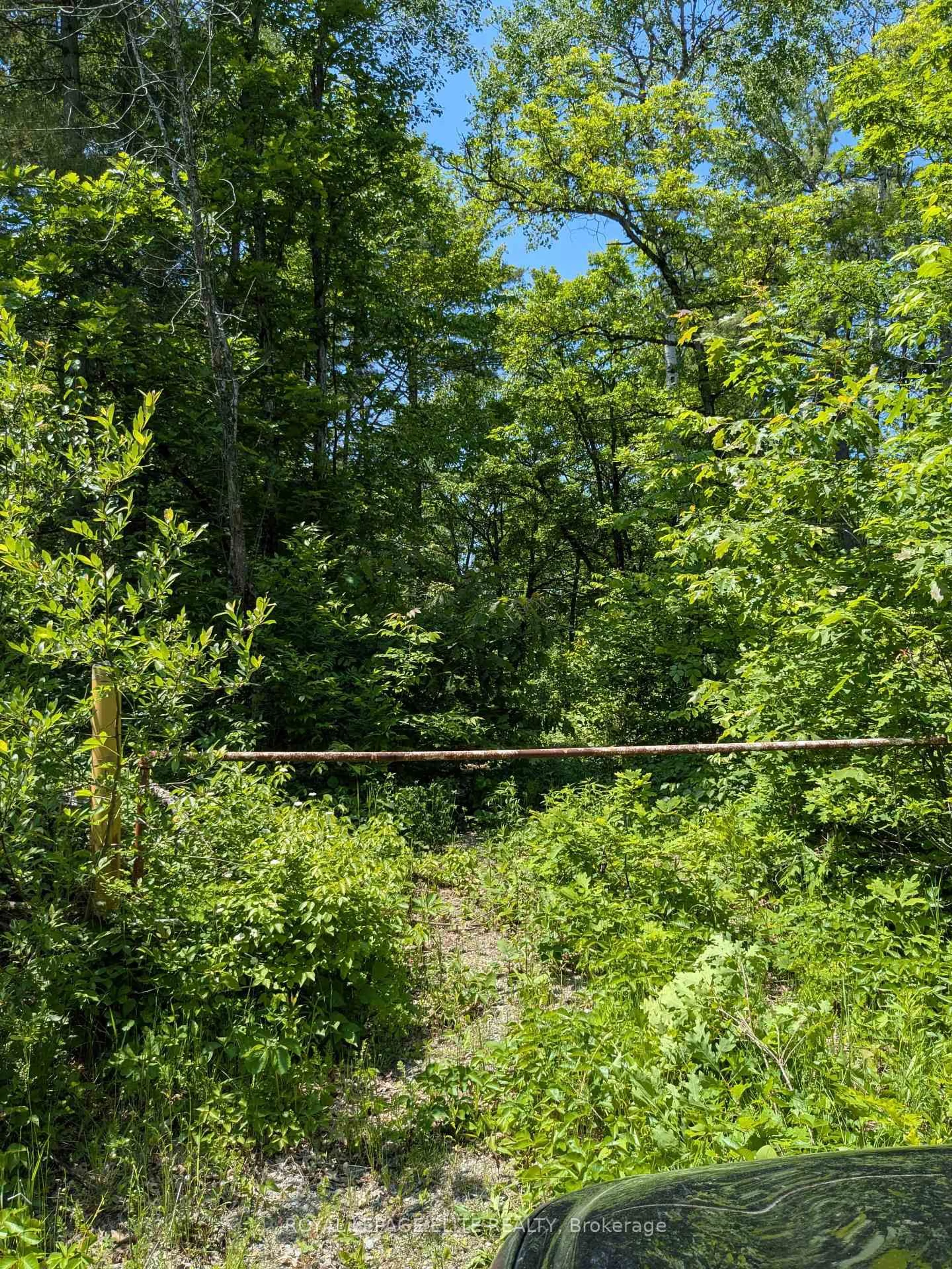 Unknown for 559 HONEY HARBOUR Rd, Georgian Bay Ontario L0K 1S0