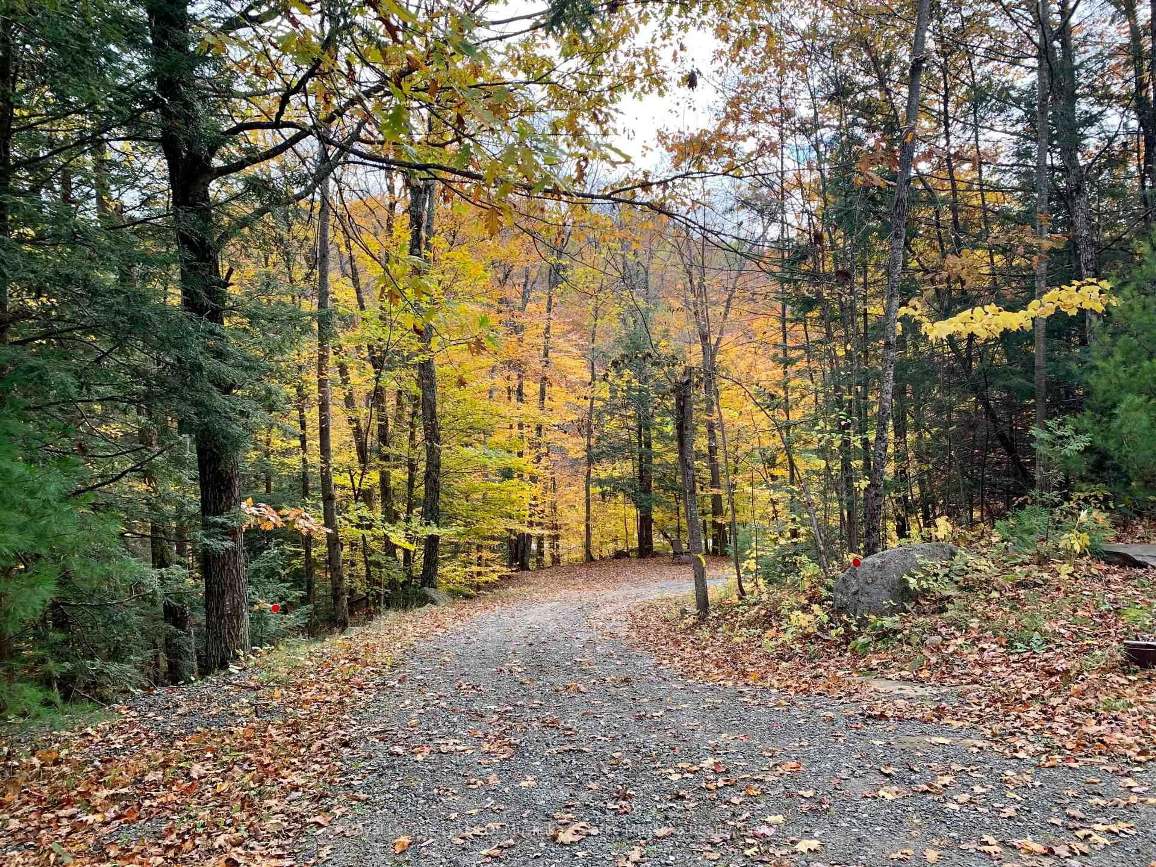 Blurry image for 1311 S. Ril Lake Rd, Lake of Bays Ontario P0B 1A0