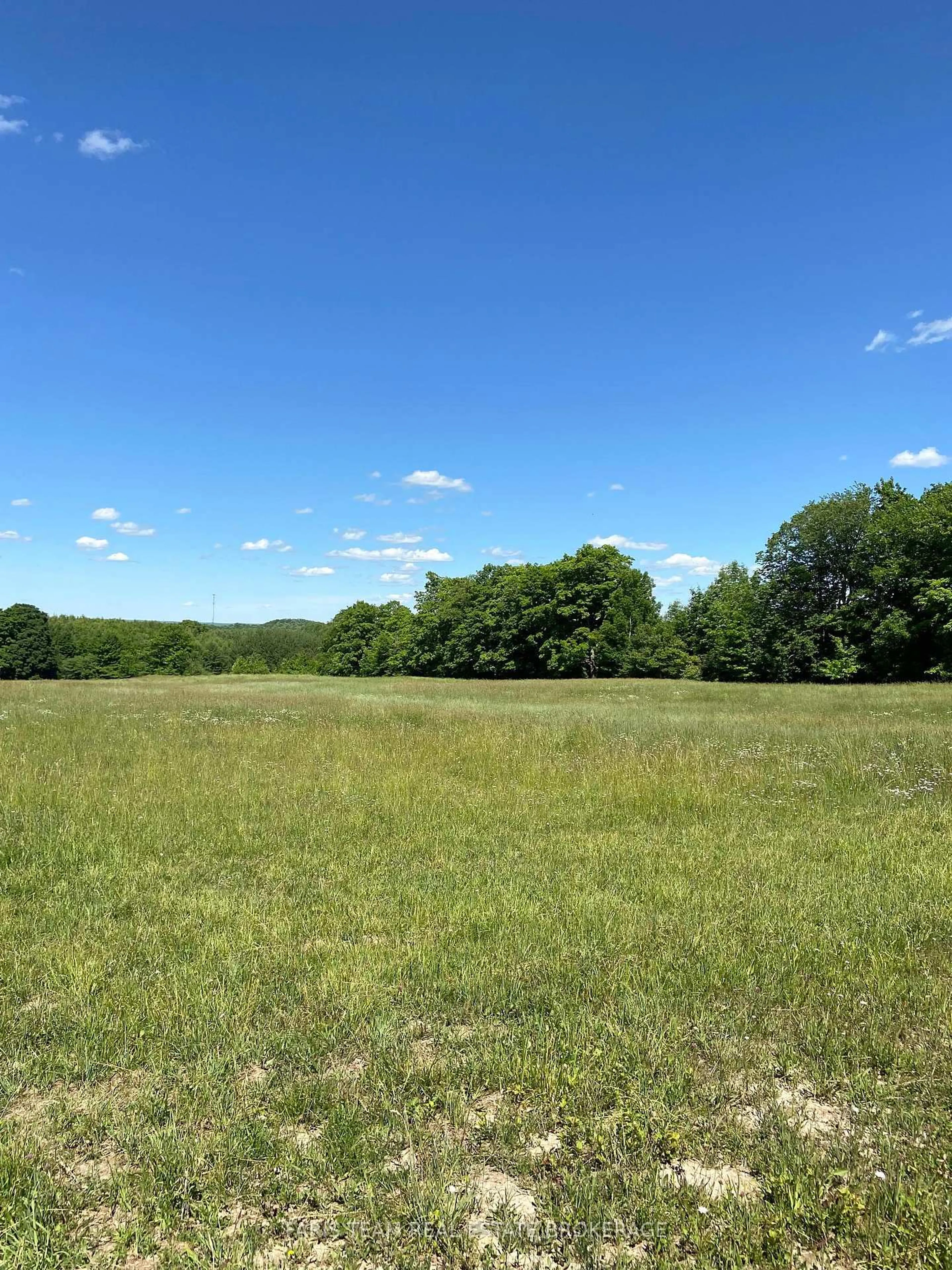A pic from outside/outdoor area/front of a property/back of a property/a pic from drone, forest/trees view for 714329 Baseline Rd, Grey Highlands Ontario N0C 1E0