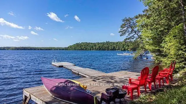 119 Fire Route 242, Trent Lakes 3
