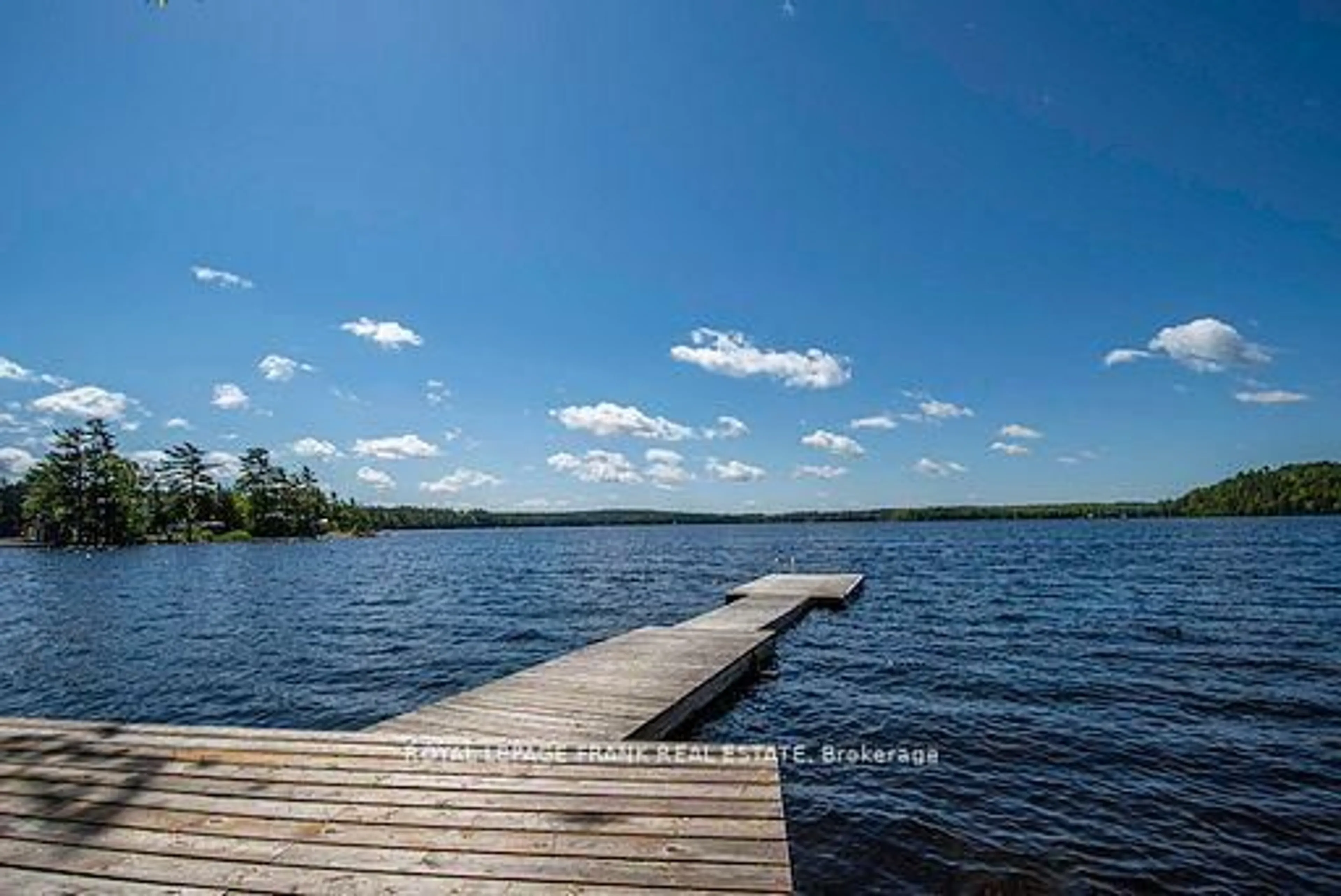 Unknown for 119 Fire Route 242, Trent Lakes Ontario K0L 1J0