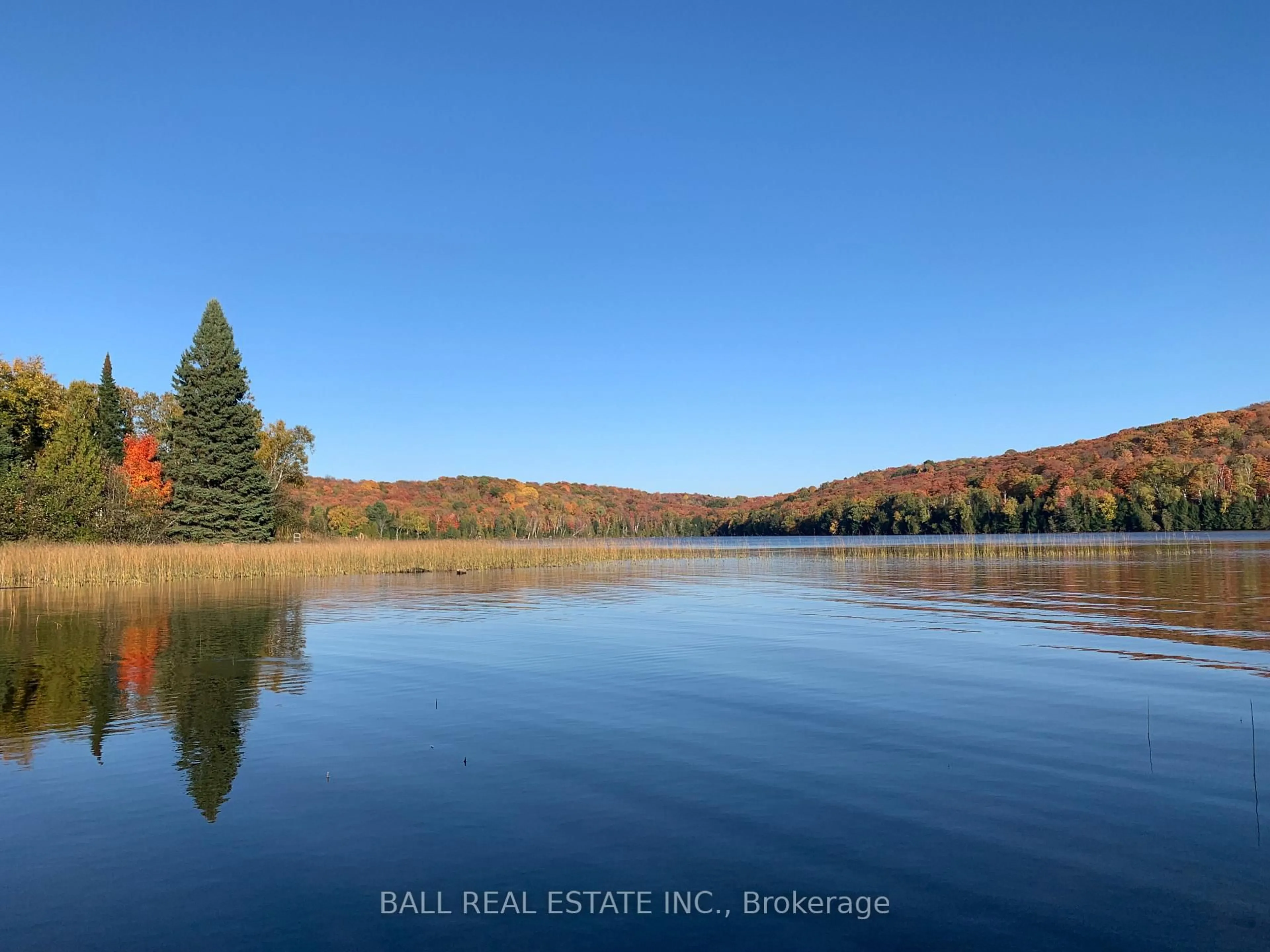 A pic from outside/outdoor area/front of a property/back of a property/a pic from drone, water/lake/river/ocean view for 294 Albion Lake Dr, Bancroft Ontario K0L 1C0