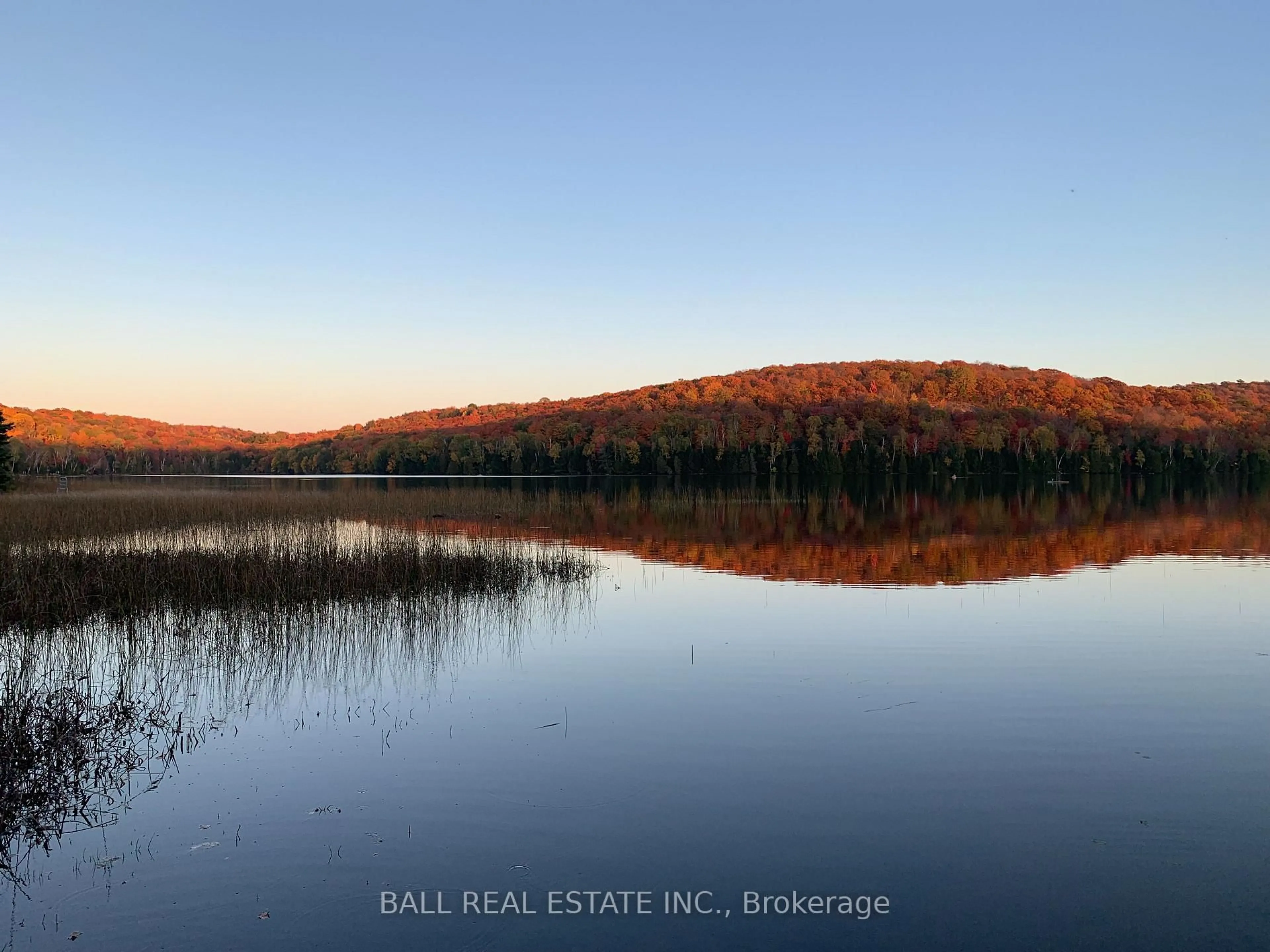 A pic from outside/outdoor area/front of a property/back of a property/a pic from drone, water/lake/river/ocean view for 294 Albion Lake Dr, Bancroft Ontario K0L 1C0
