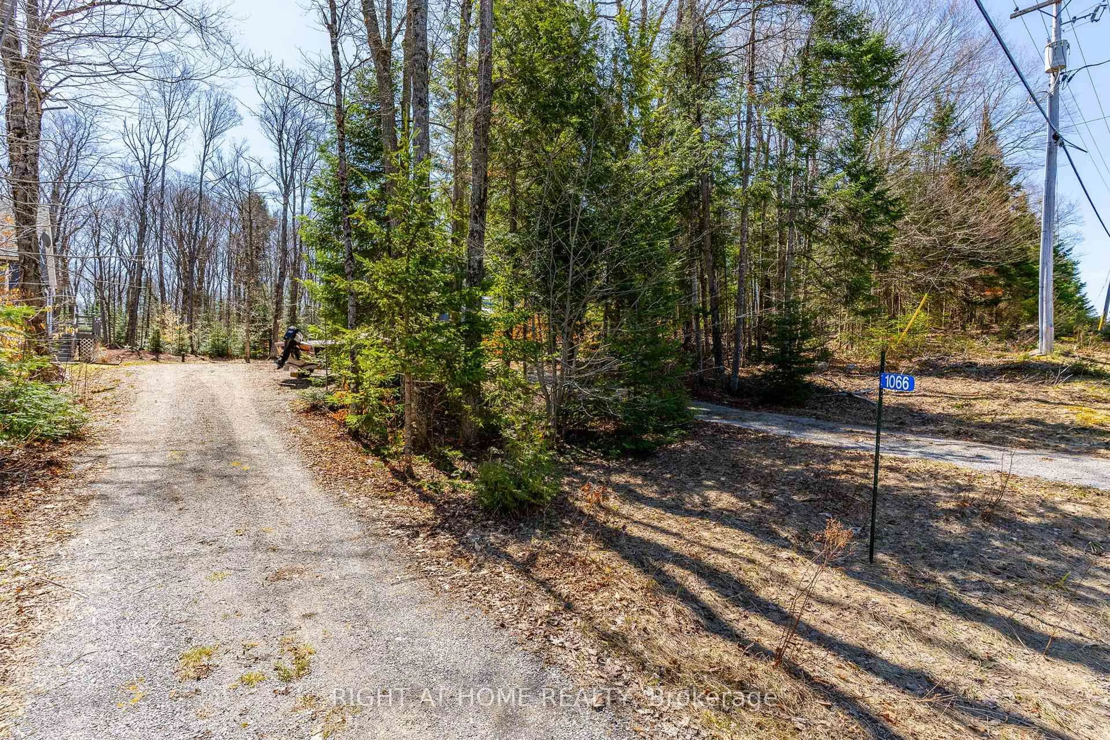 A pic from outside/outdoor area/front of a property/back of a property/a pic from drone, forest/trees view for 1066 Loop Rd, Highlands East Ontario K0L 1C0