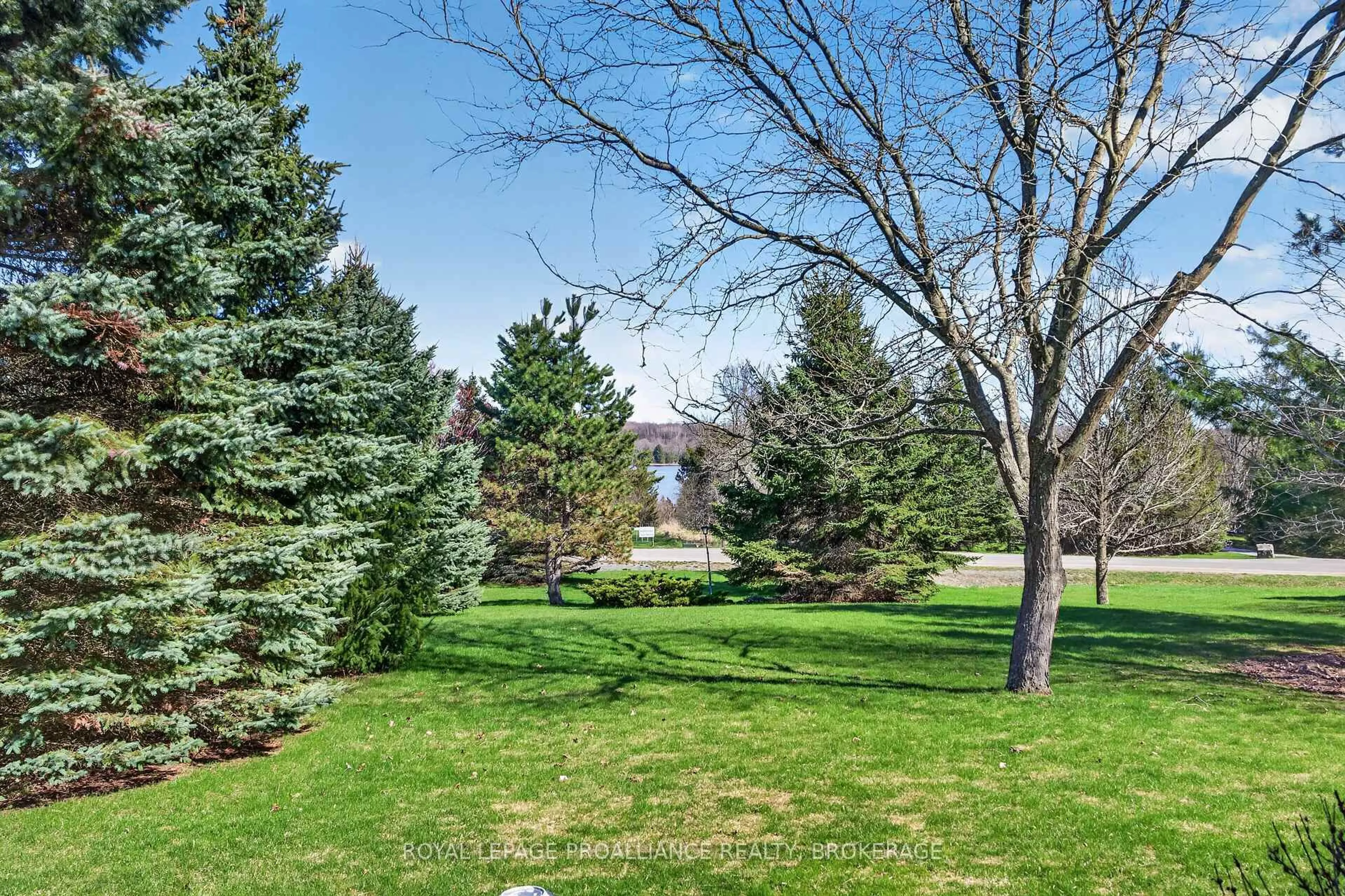 Patio, forest/trees view for 3920 Middle Woodland Dr, Inverary Ontario K0H 1X0