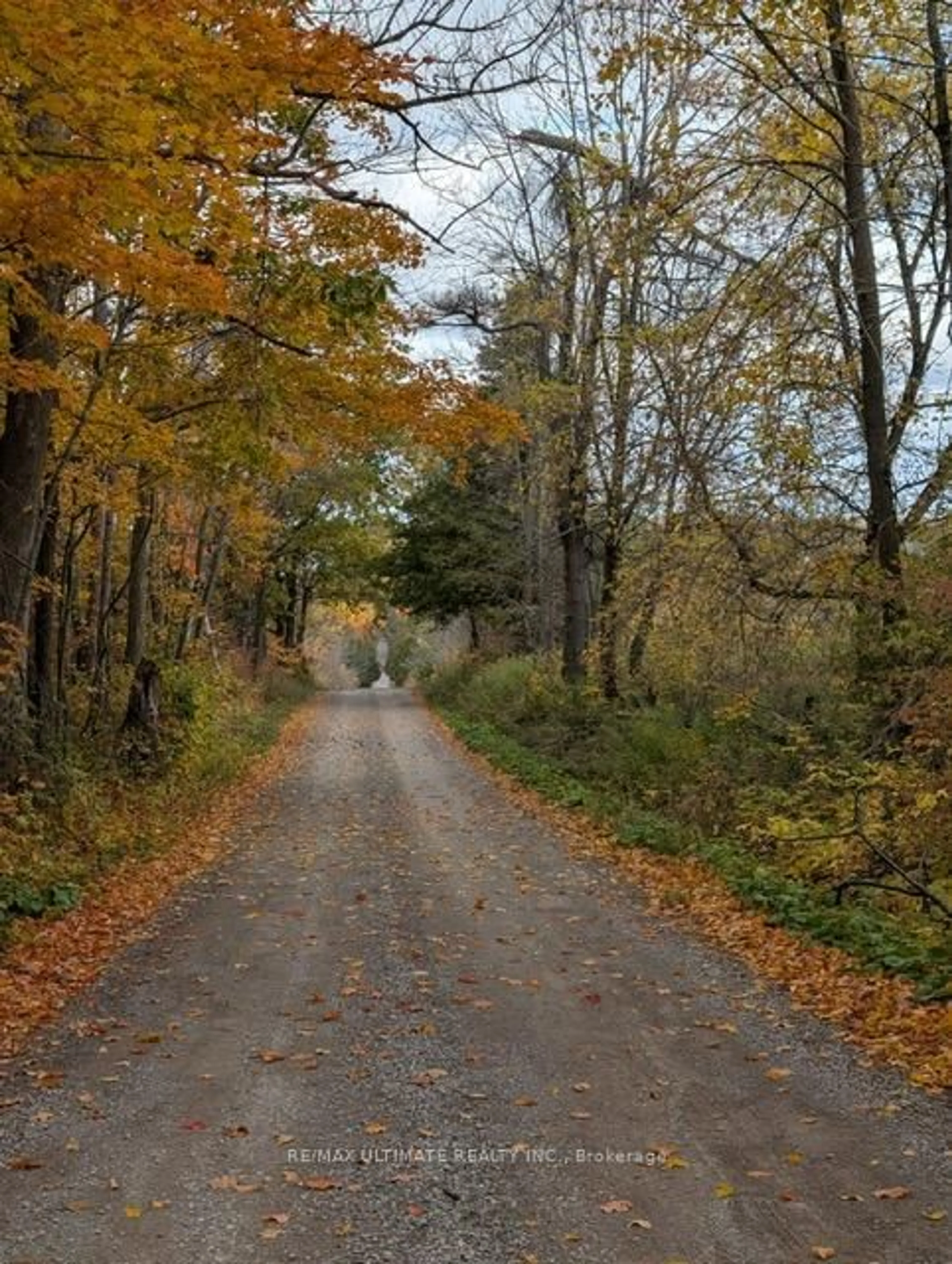Blurry image for 86 Rolling Banks Rd #10A, Alnwick/Haldimand Ontario K0K 2X0