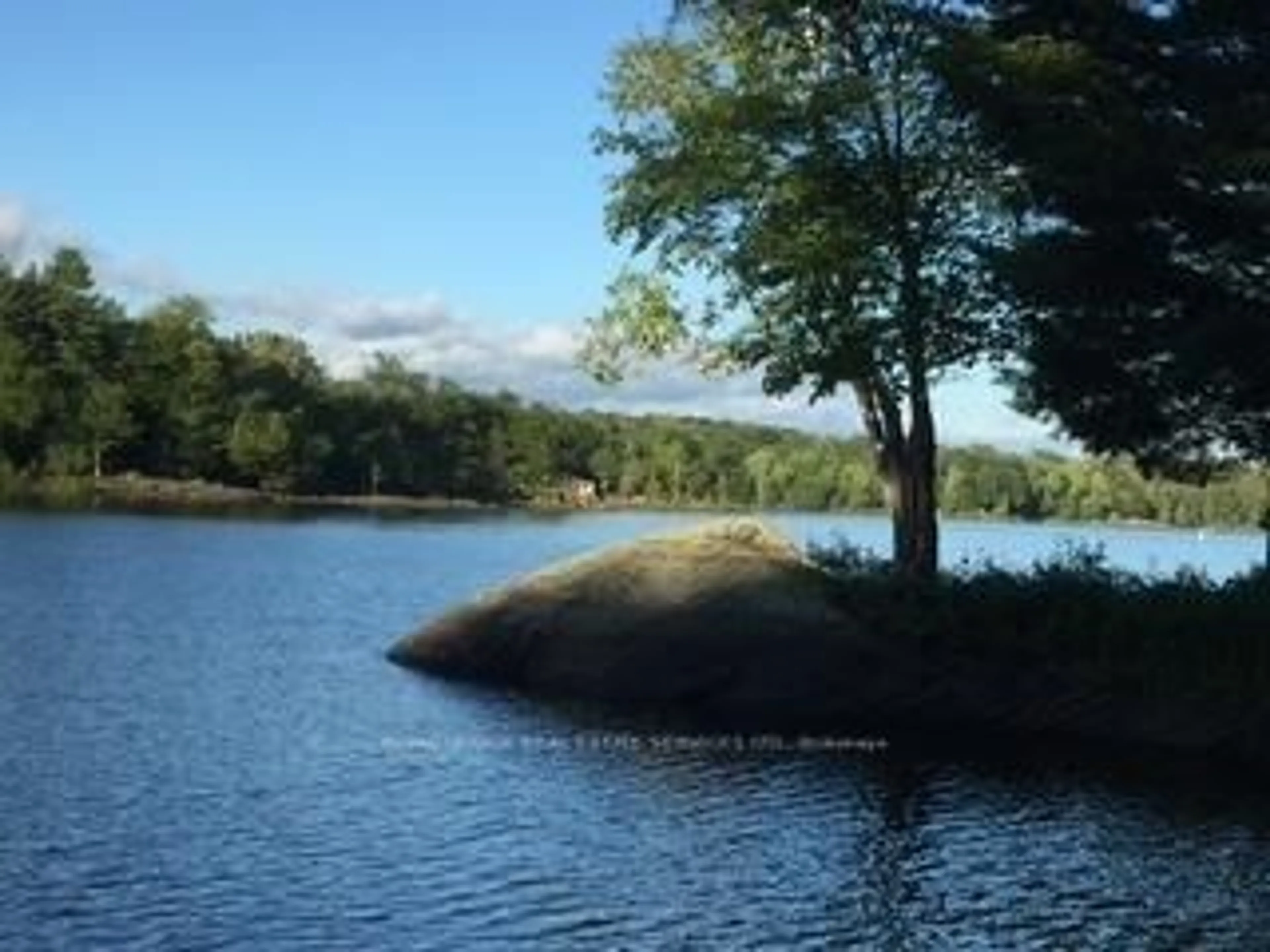 Blurry image for 1383 Moon River Rd, Muskoka Lakes Ontario P0C 1A0