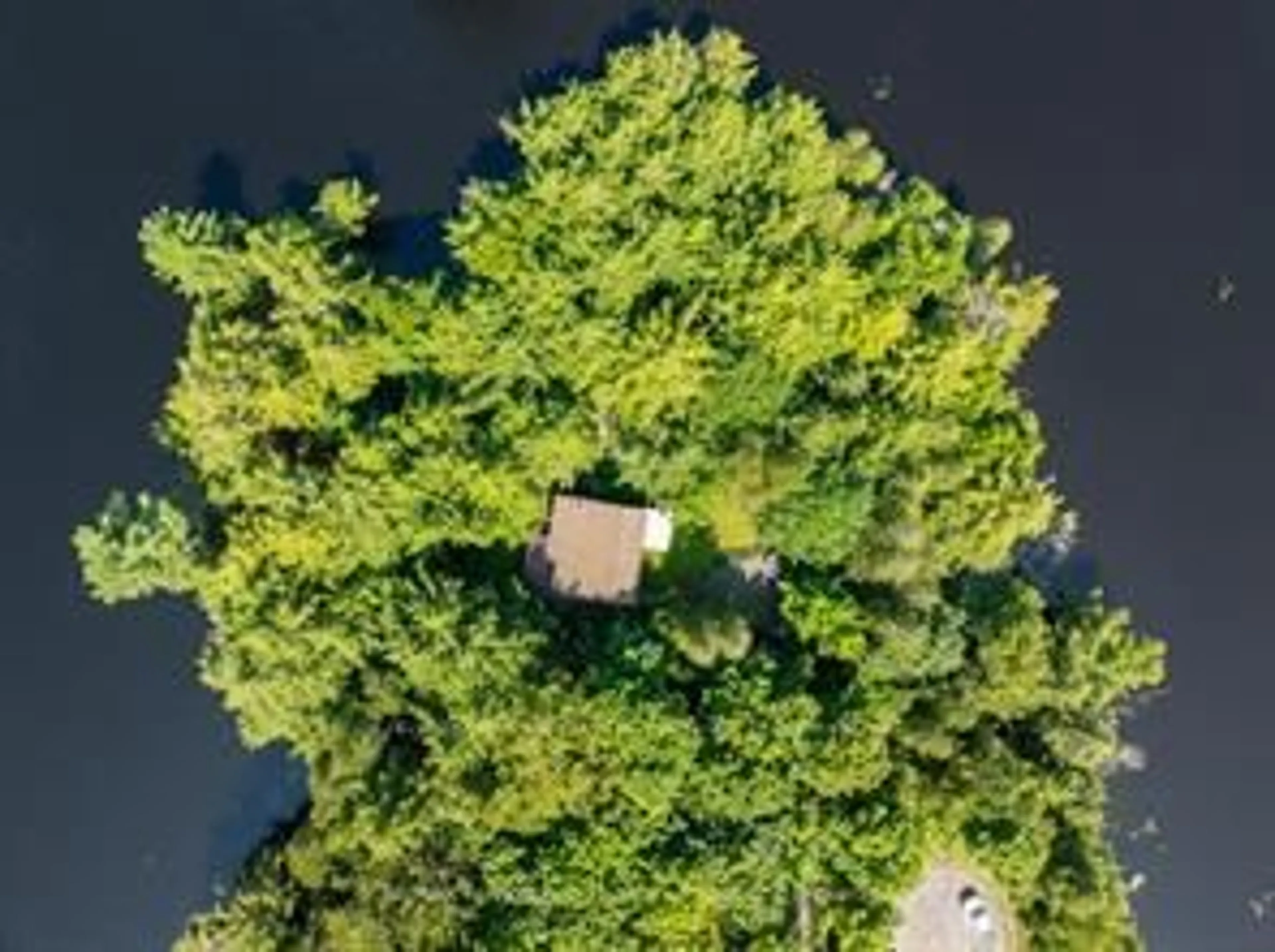 A pic from outside/outdoor area/front of a property/back of a property/a pic from drone, forest/trees view for 18 MEHARG Dr, McKellar Ontario P2A 0B5