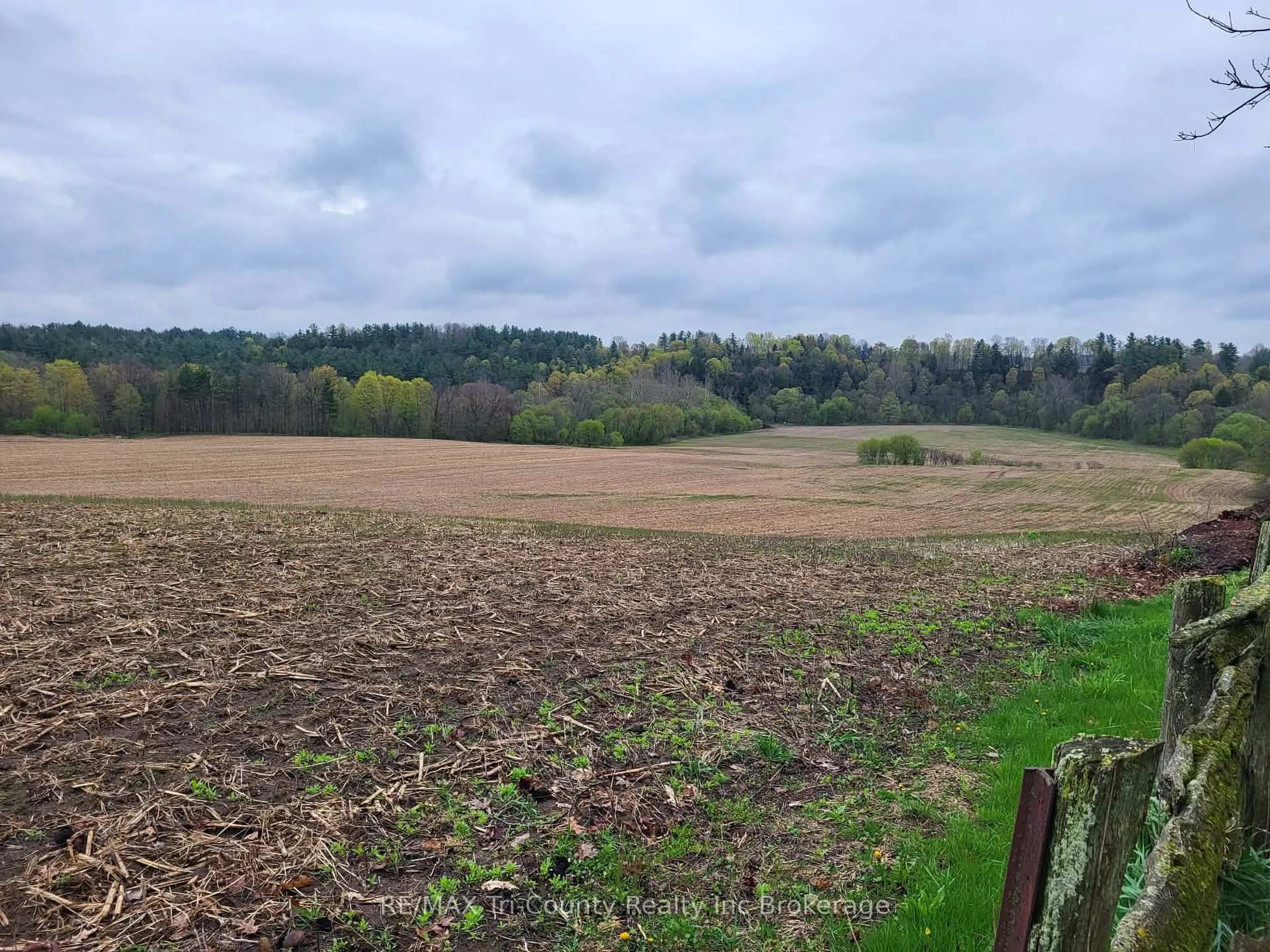 A pic from outside/outdoor area/front of a property/back of a property/a pic from drone, forest/trees view for 9088 Culloden Rd, Bayham Ontario N0J 1H0