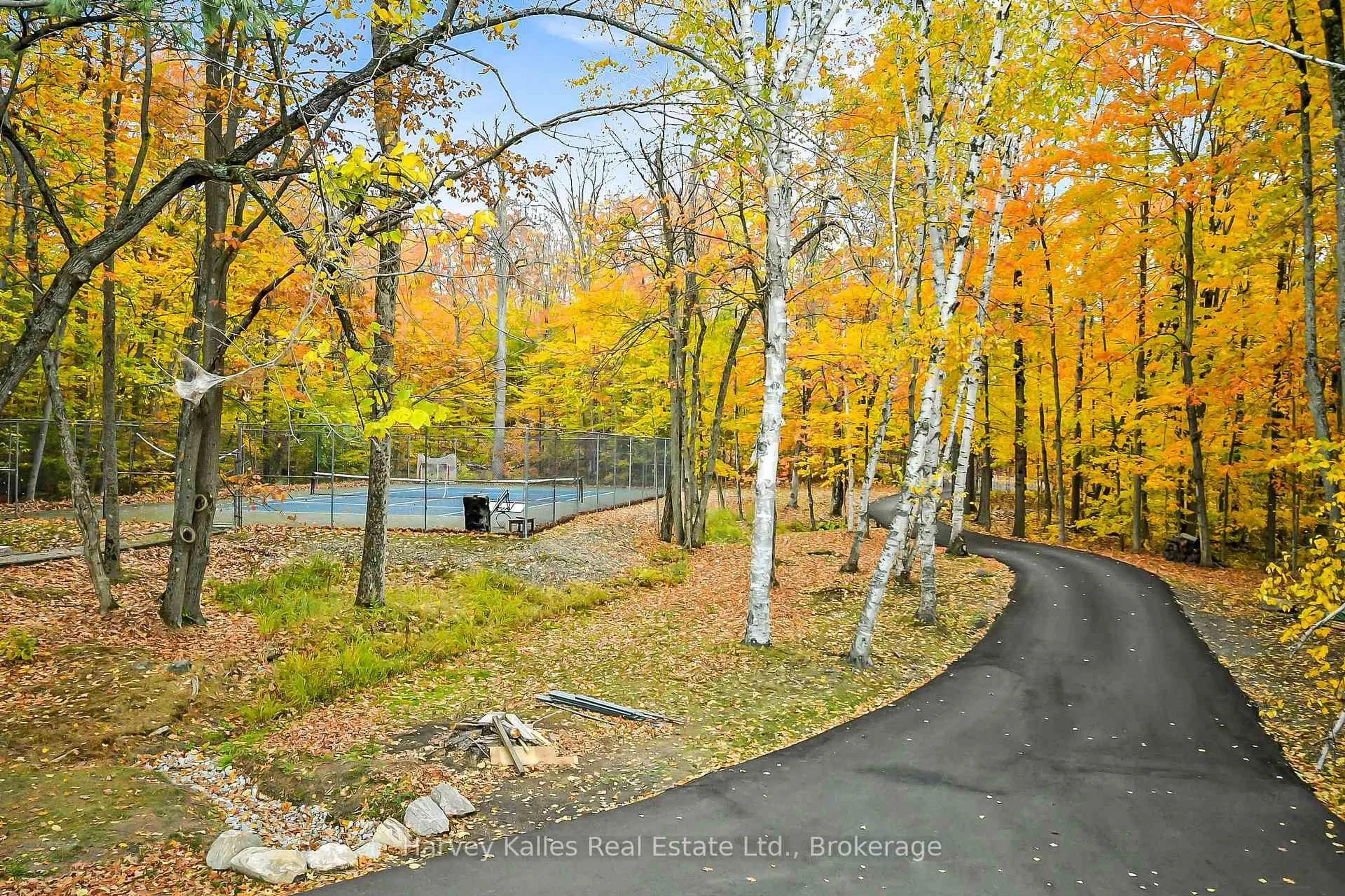 Patio, forest/trees view for 1099 Big Joe Rd, Muskoka Lakes Ontario P0B 1J0