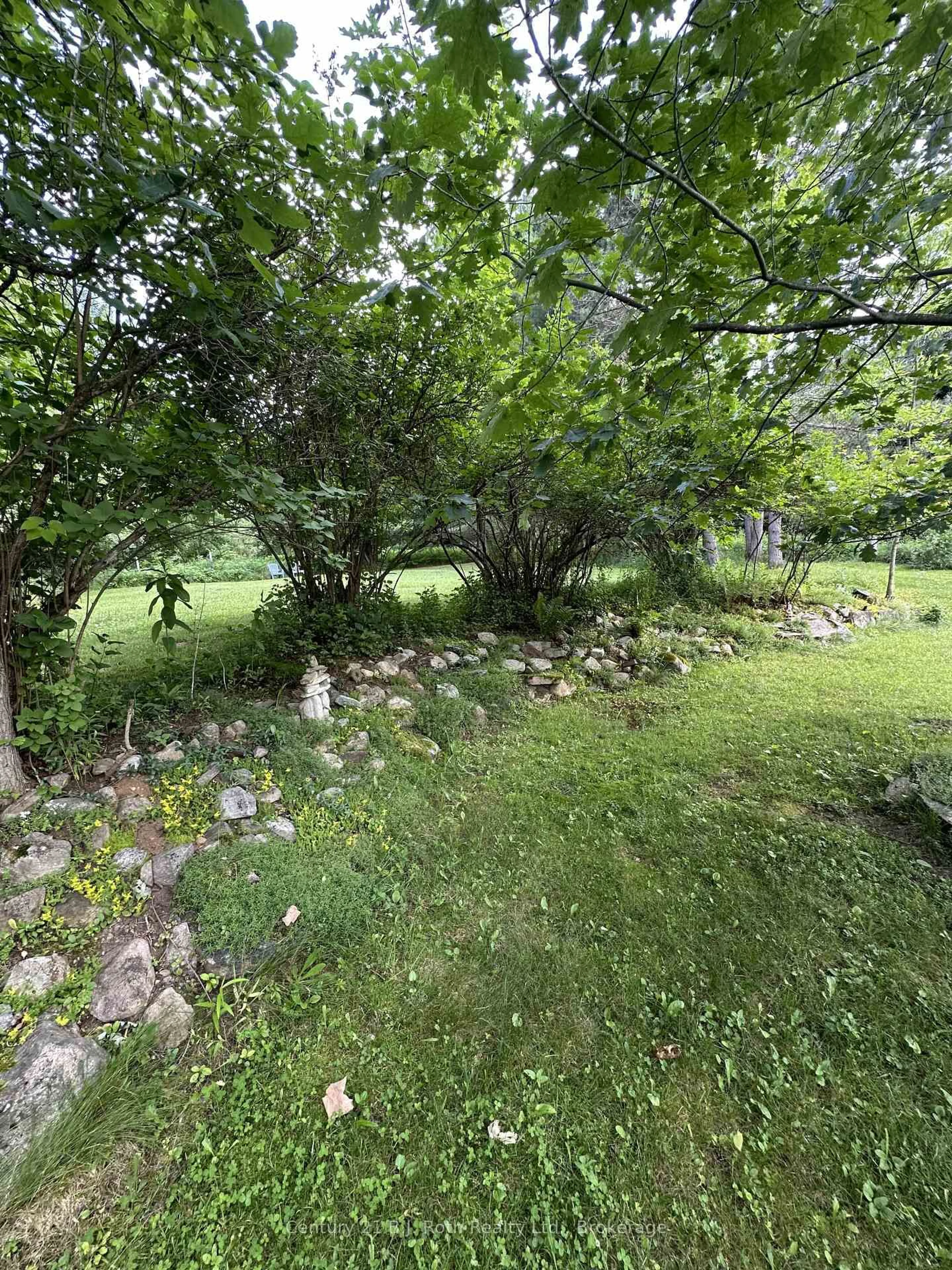 A pic from outside/outdoor area/front of a property/back of a property/a pic from drone, forest/trees view for 4 STOCKING Lane, Huntsville Ontario P1H 1V4