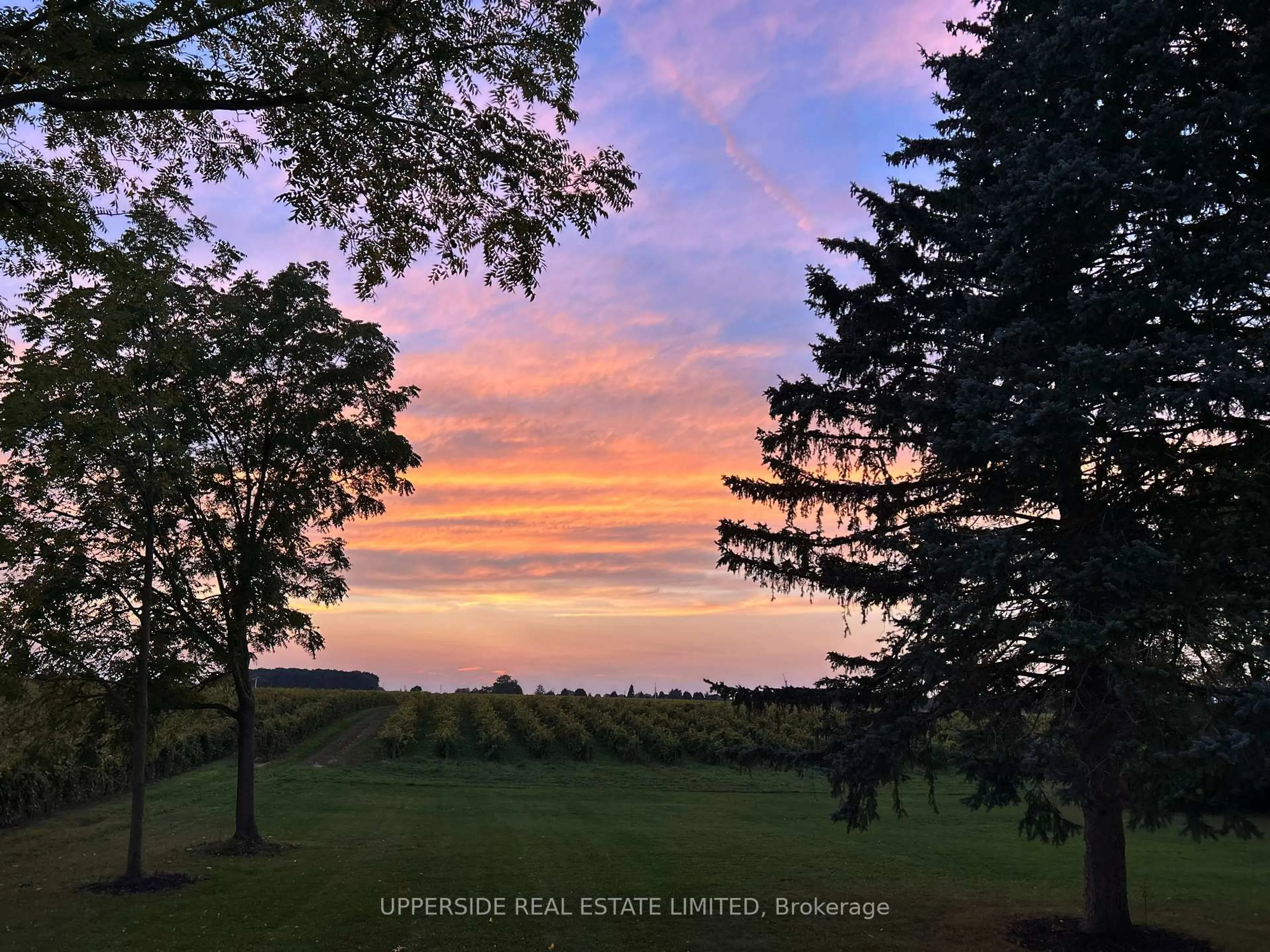 A pic from outside/outdoor area/front of a property/back of a property/a pic from drone, forest/trees view for 15886 Niagara Pkwy, Niagara-on-the-Lake Ontario L0S 1J0