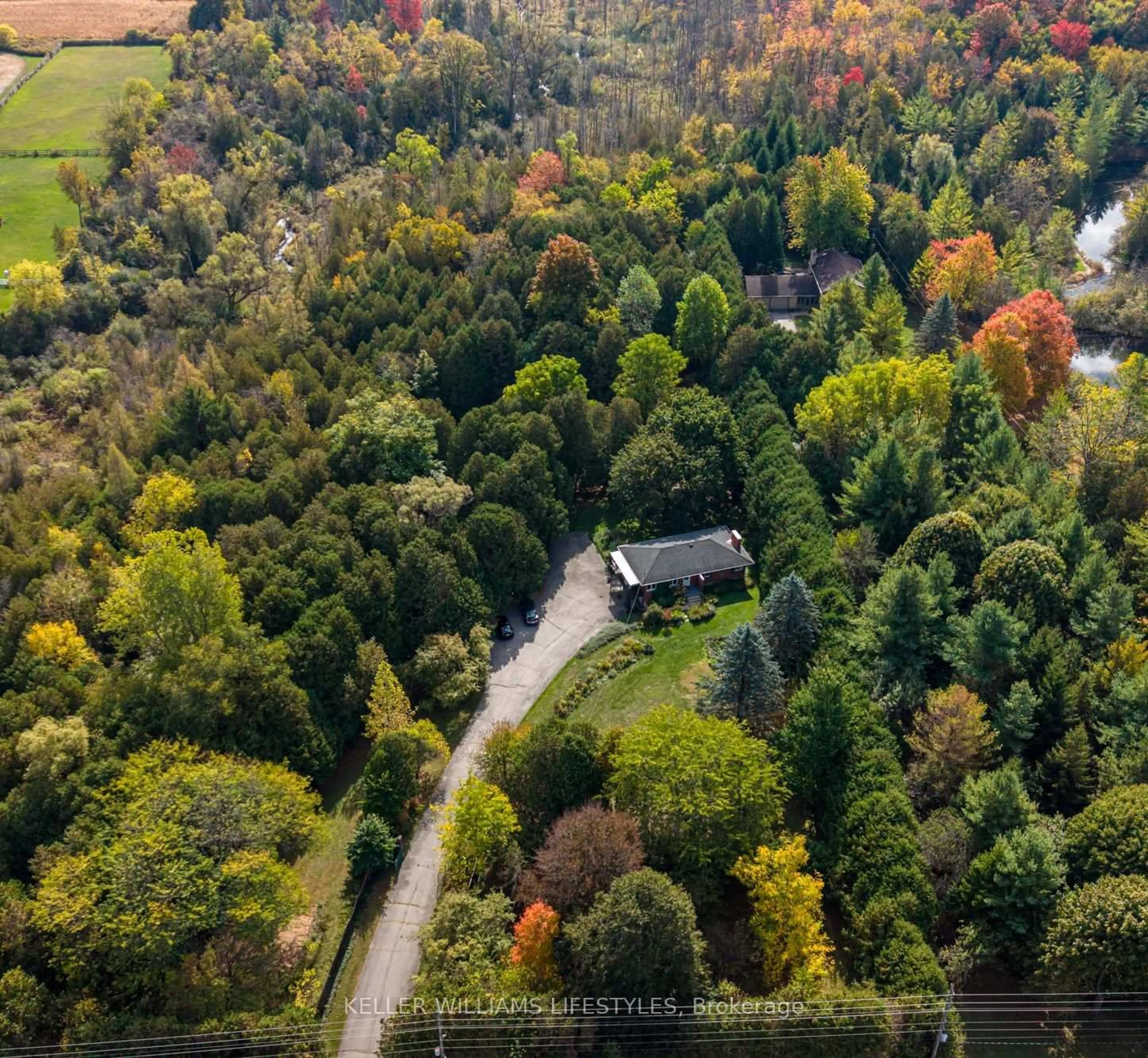 A pic from outside/outdoor area/front of a property/back of a property/a pic from drone, forest/trees view for 15083 Medway Rd, Middlesex Centre Ontario N0M 1C0