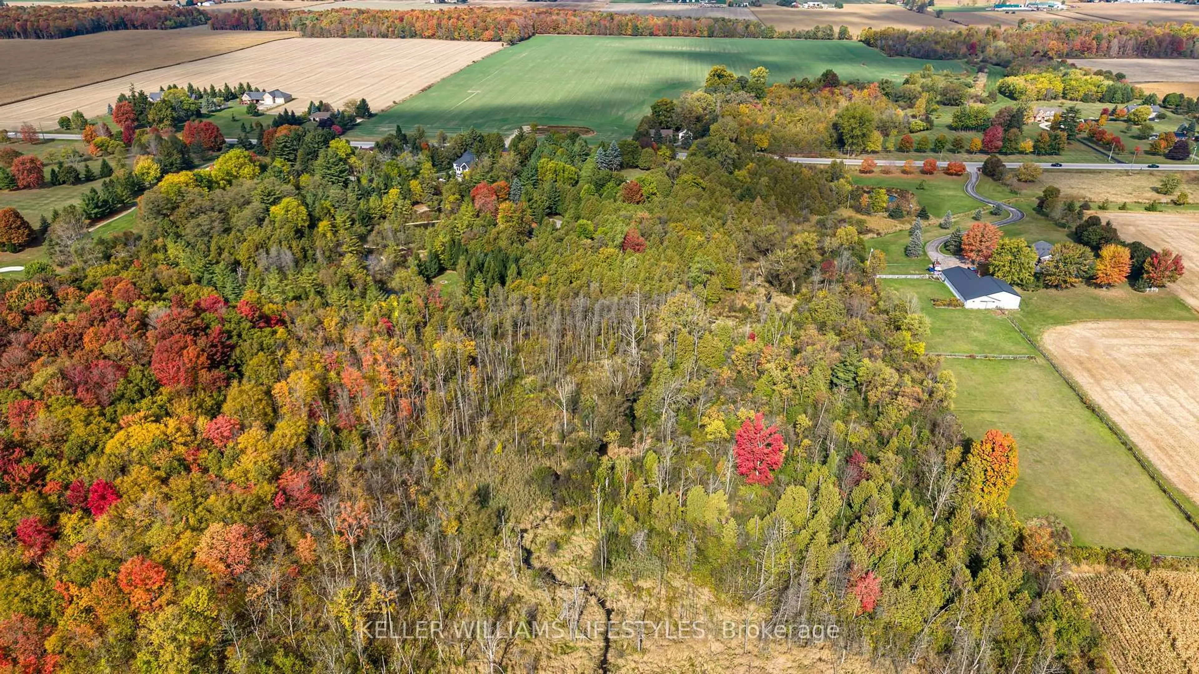 A pic from outside/outdoor area/front of a property/back of a property/a pic from drone, forest/trees view for 15083 Medway Rd, Middlesex Centre Ontario N0M 1C0
