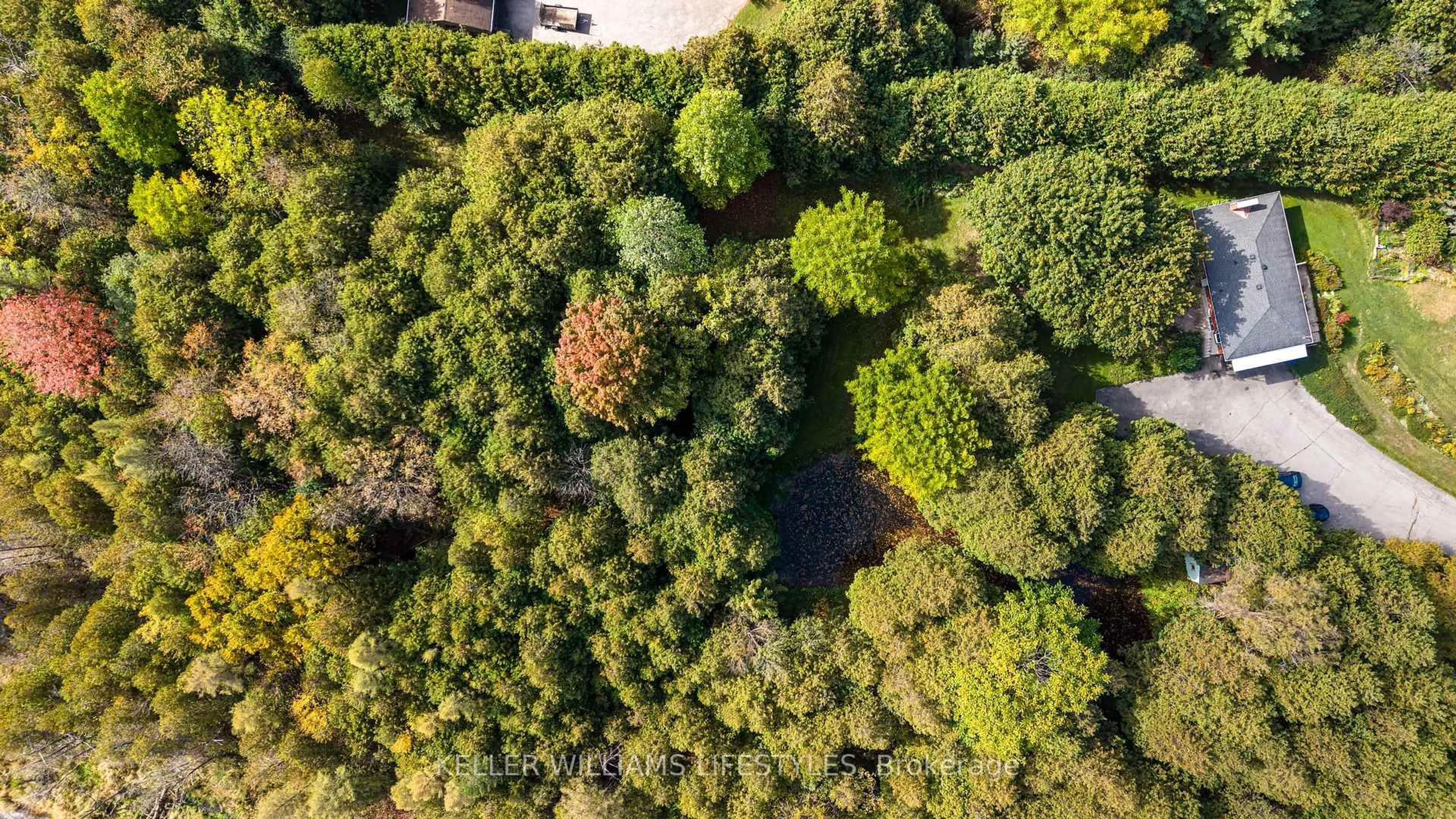 A pic from outside/outdoor area/front of a property/back of a property/a pic from drone, forest/trees view for 15083 Medway Rd, Middlesex Centre Ontario N0M 1C0