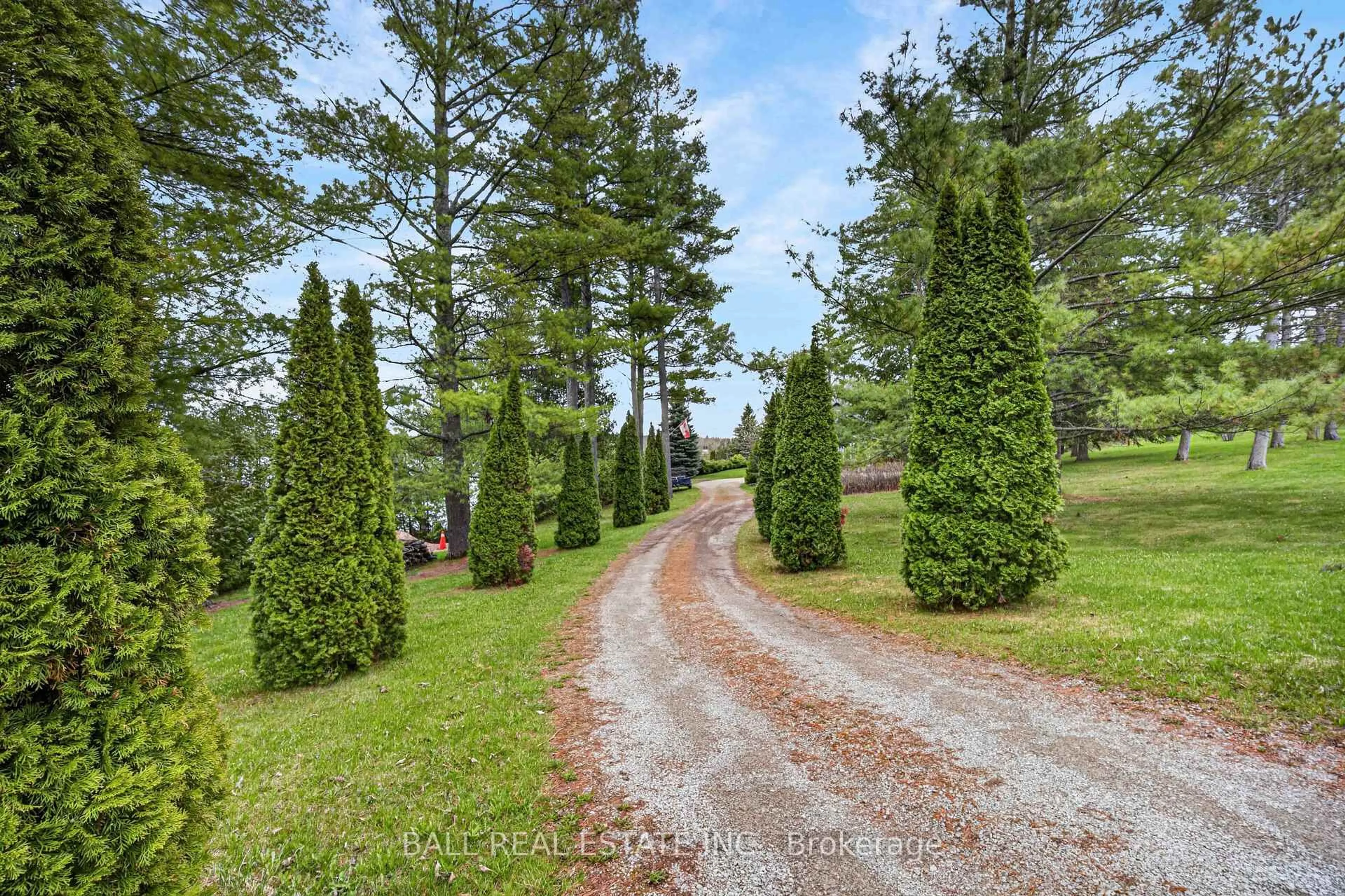 A pic from outside/outdoor area/front of a property/back of a property/a pic from drone, forest/trees view for 1725 Young's Point Rd, Selwyn Ontario K0L 2H0